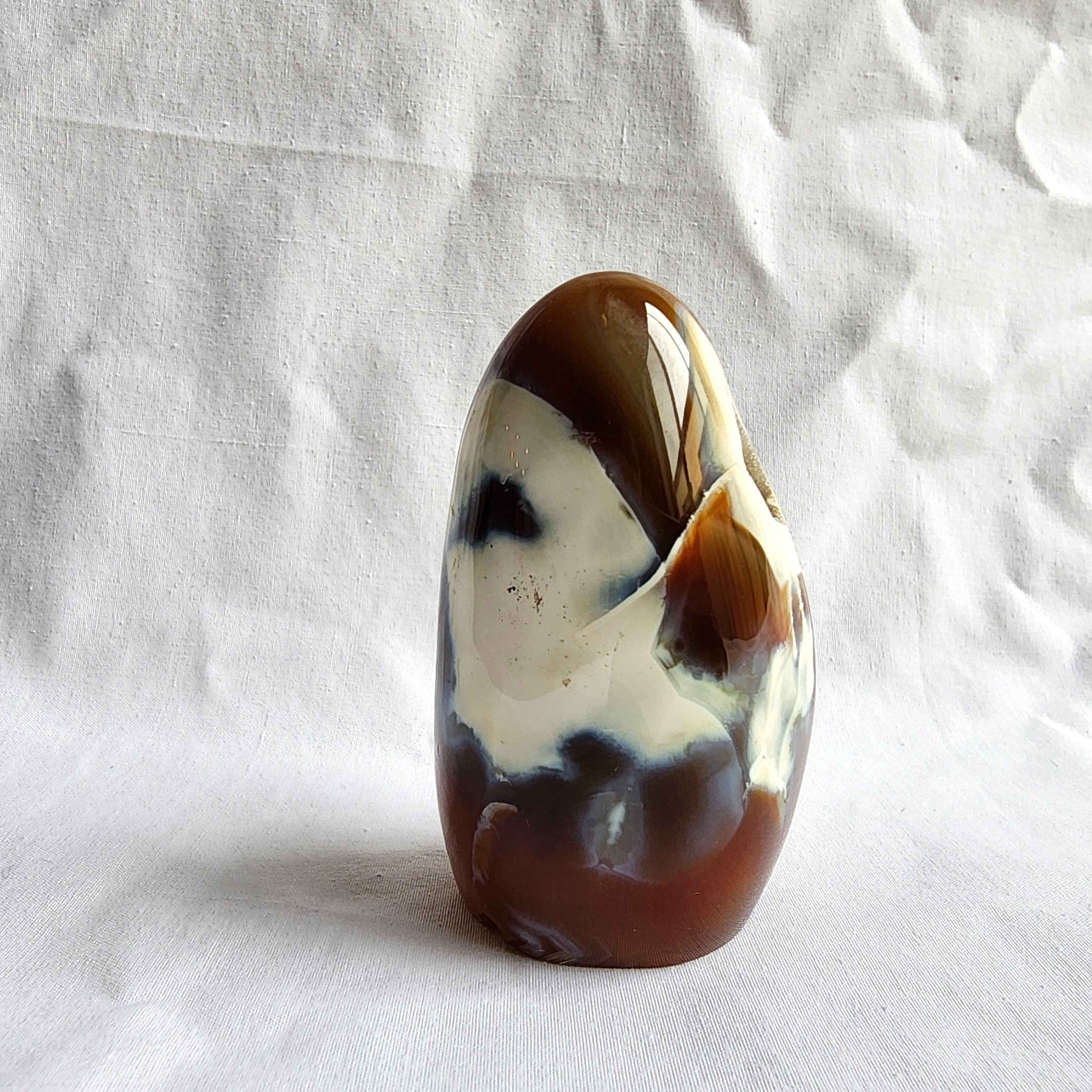 Carnelian & Orca Agate Freeform