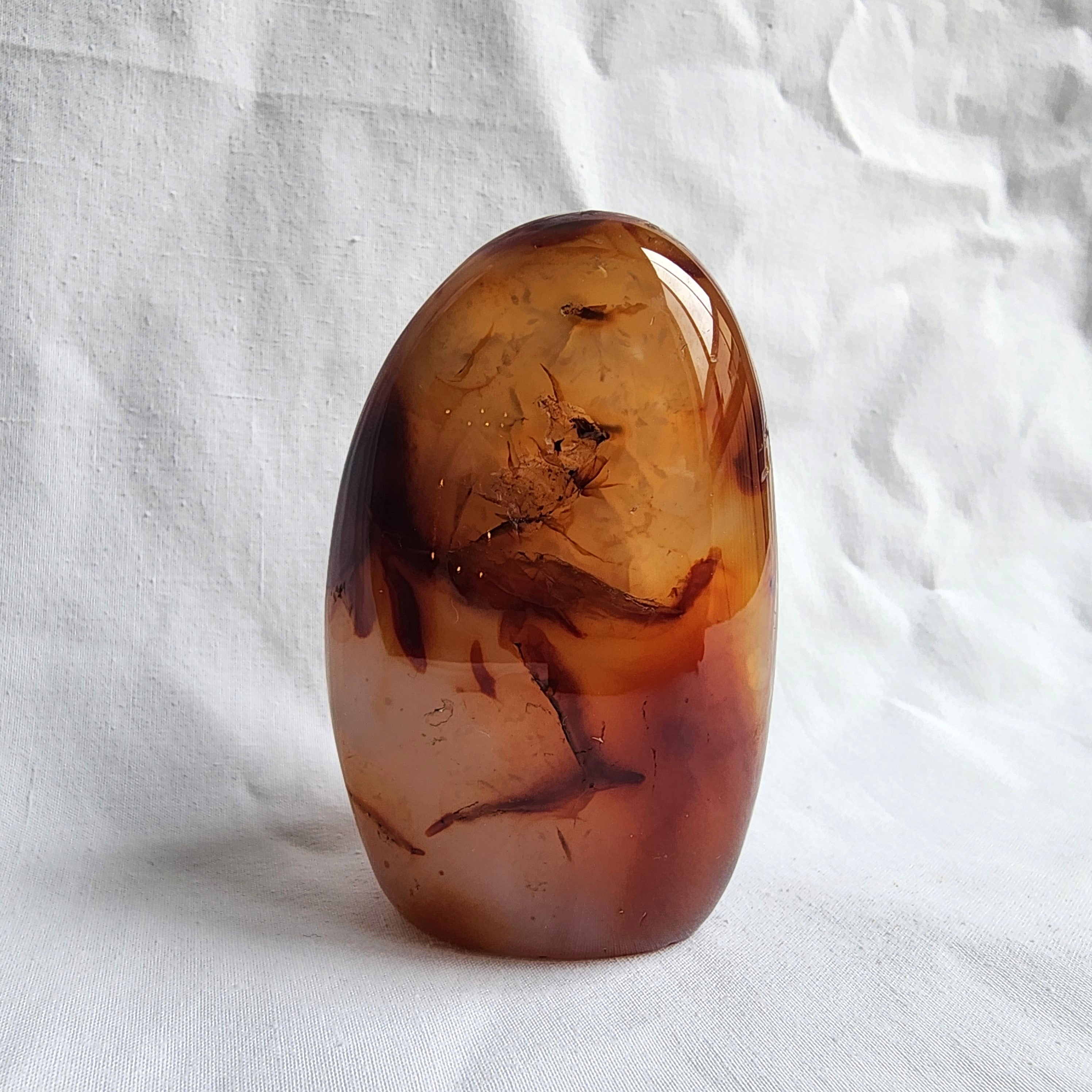 Carnelian Freeform