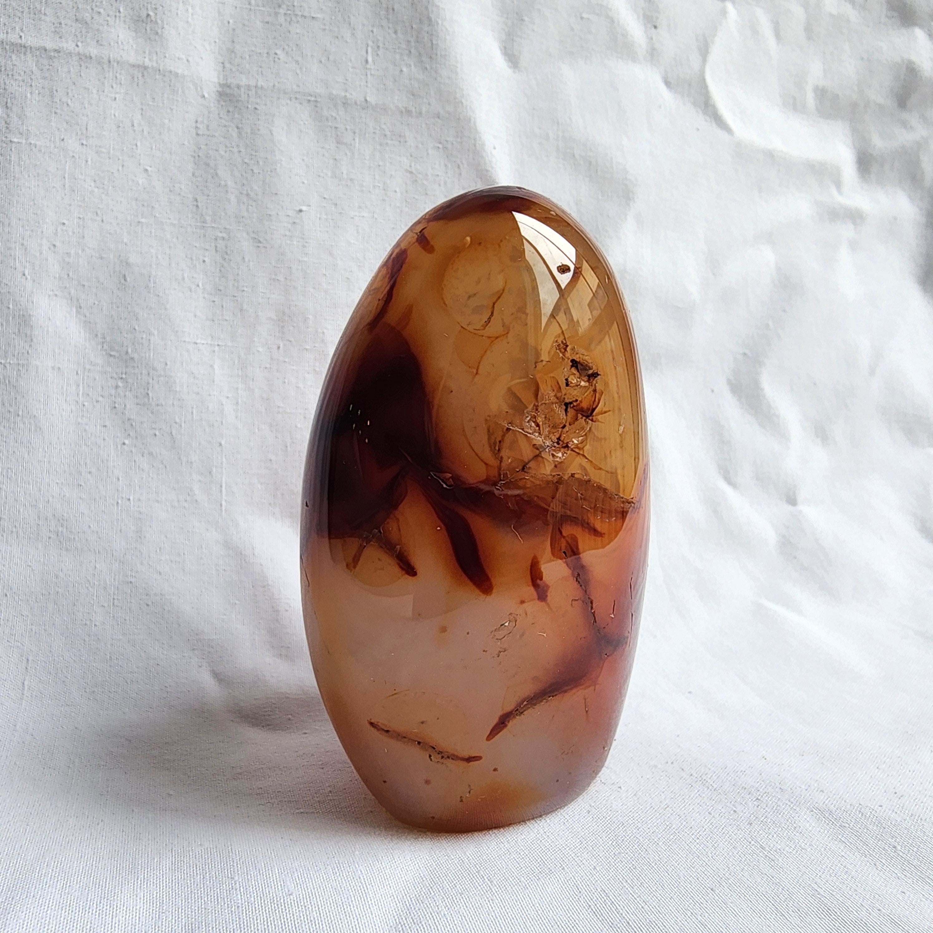 Carnelian Freeform