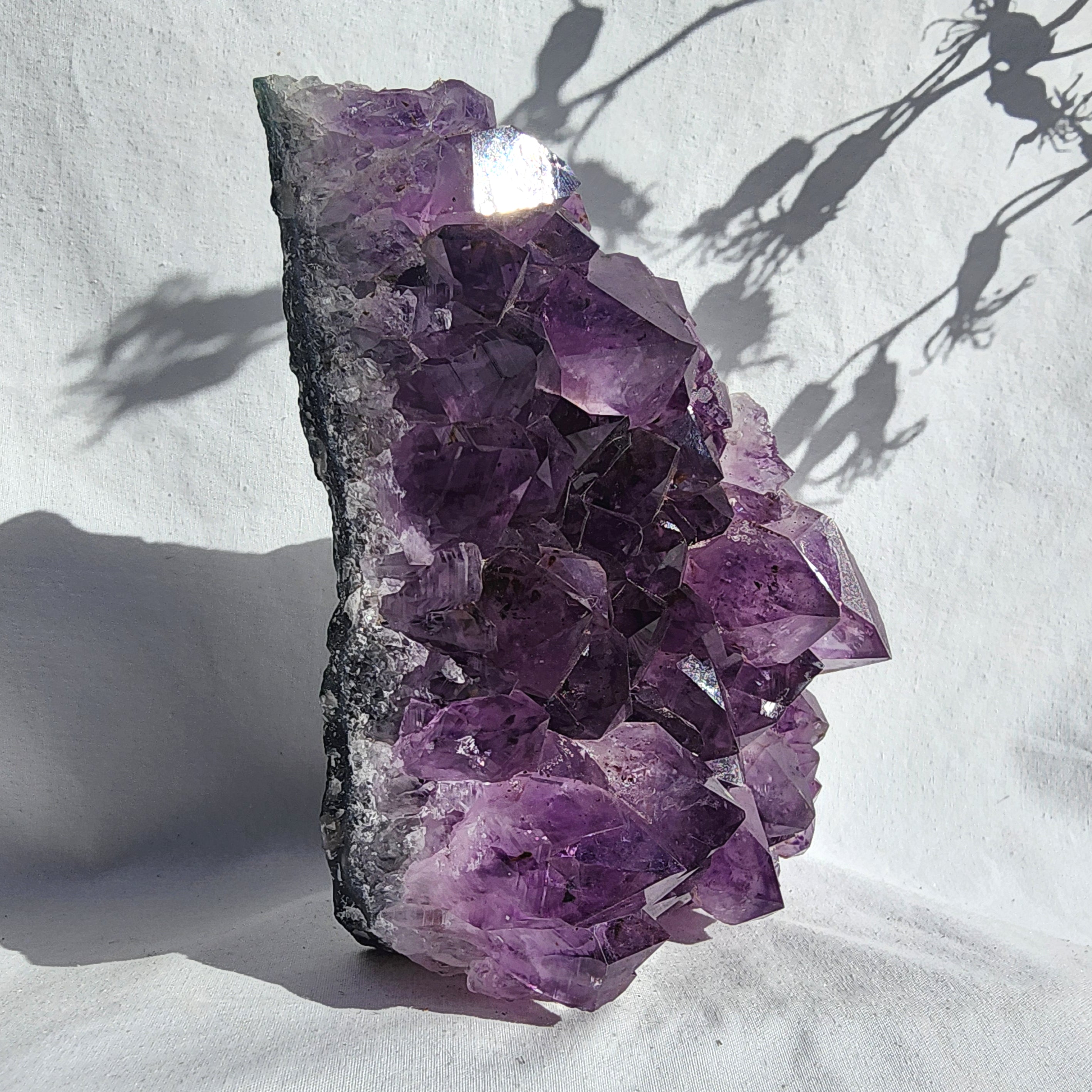Amethyst Cluster