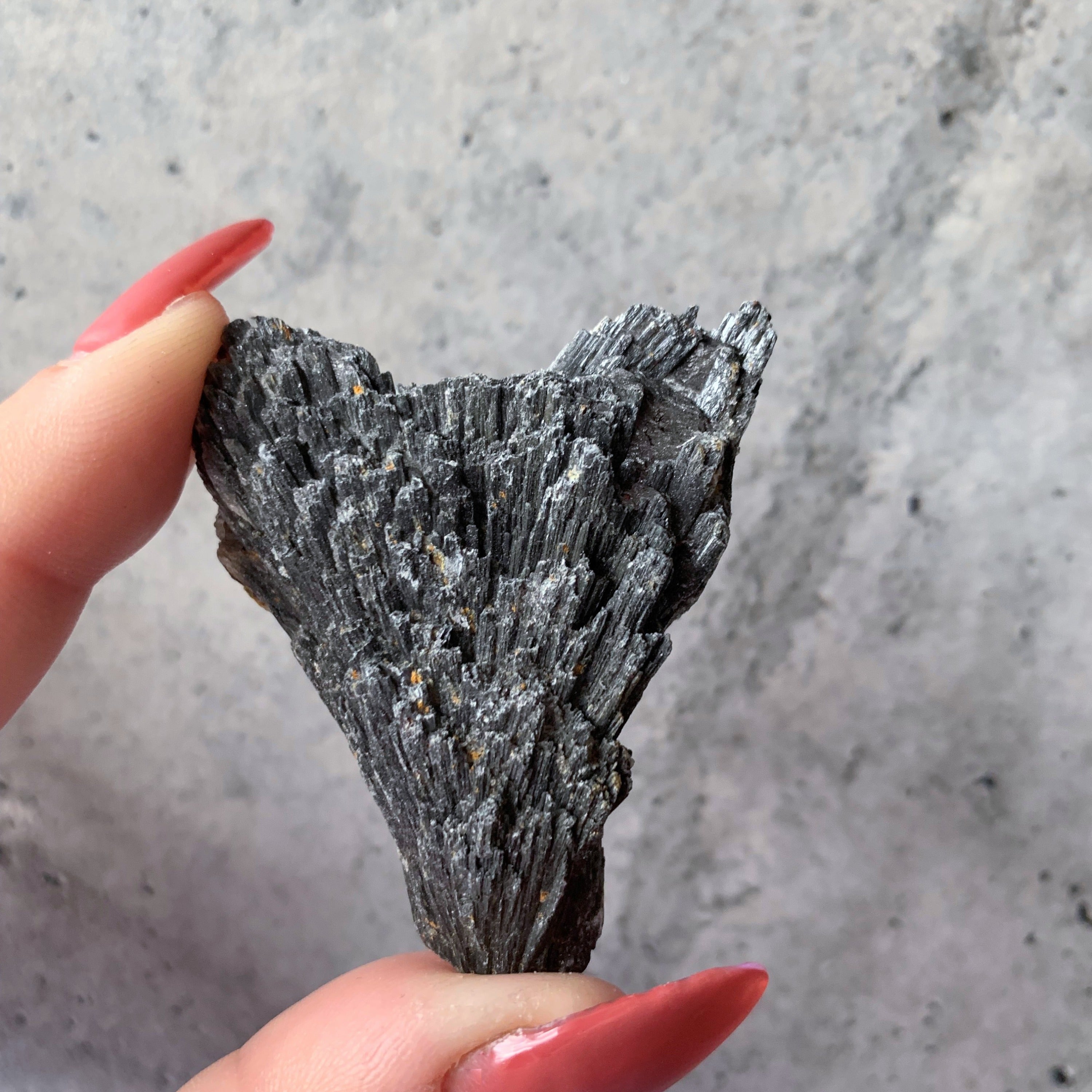 Black Kyanite Fans | Medium
