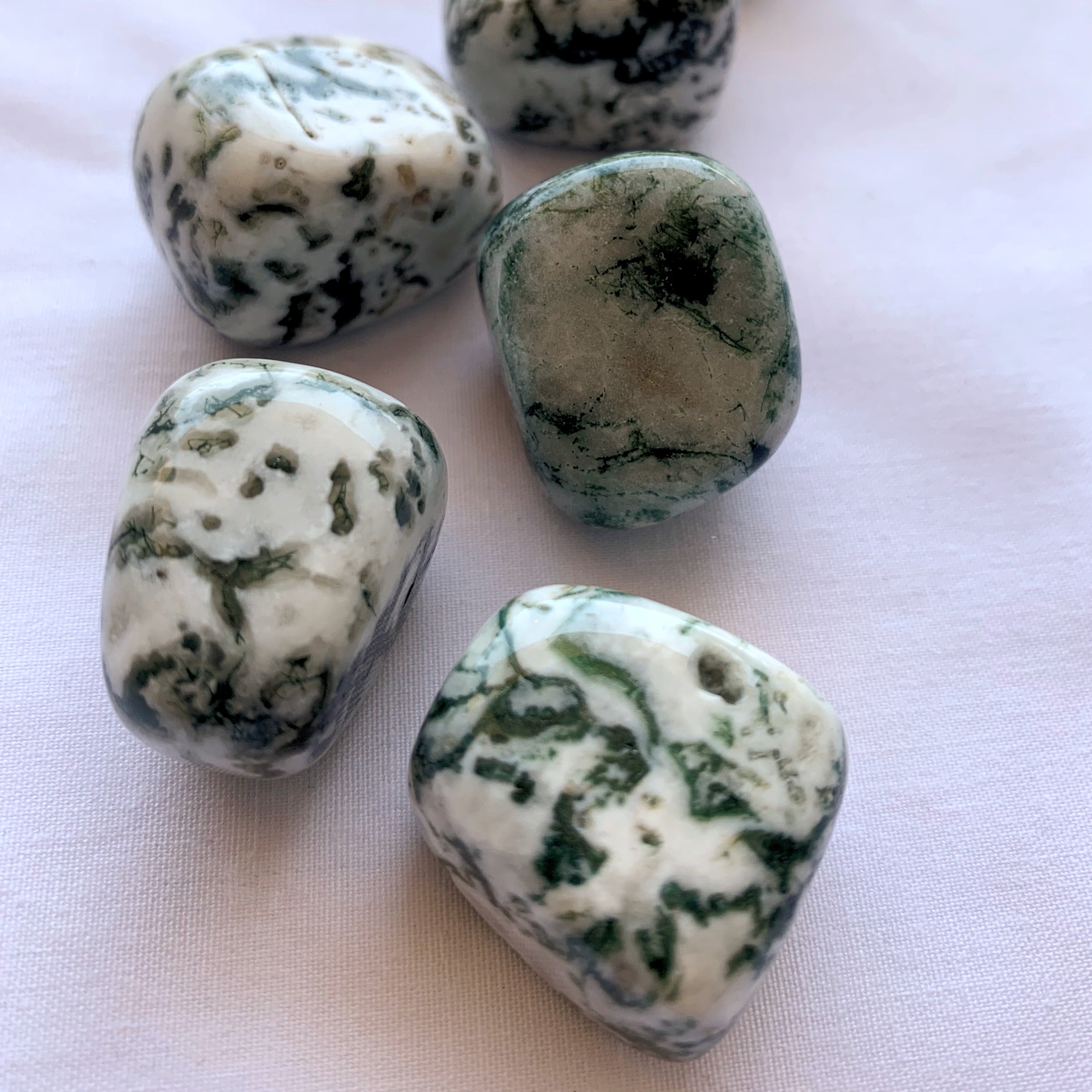 Tree Agate Tumble | Medium