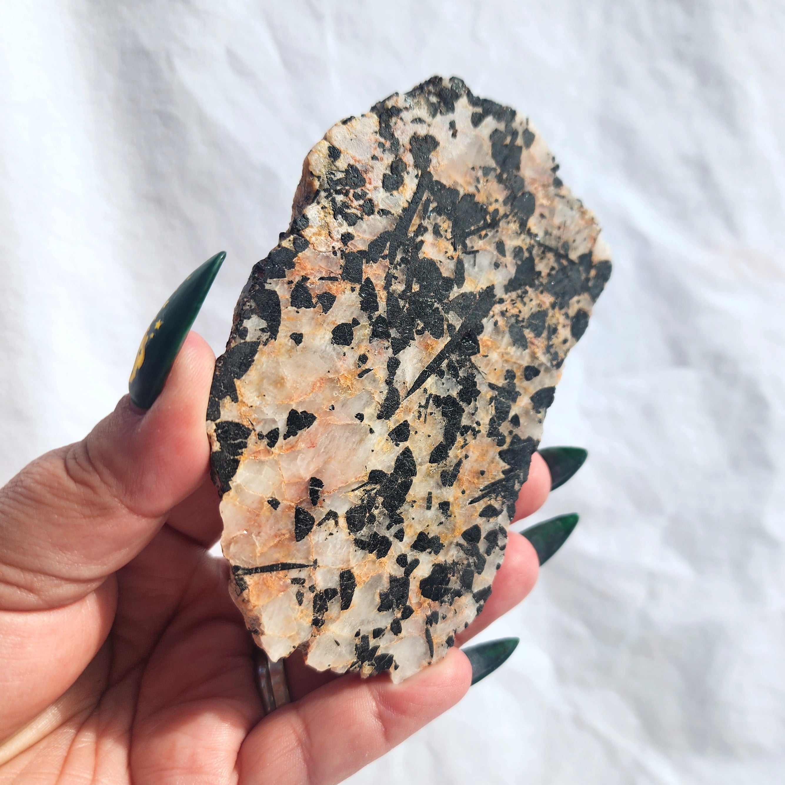 Tourmaline in Quartz Slice