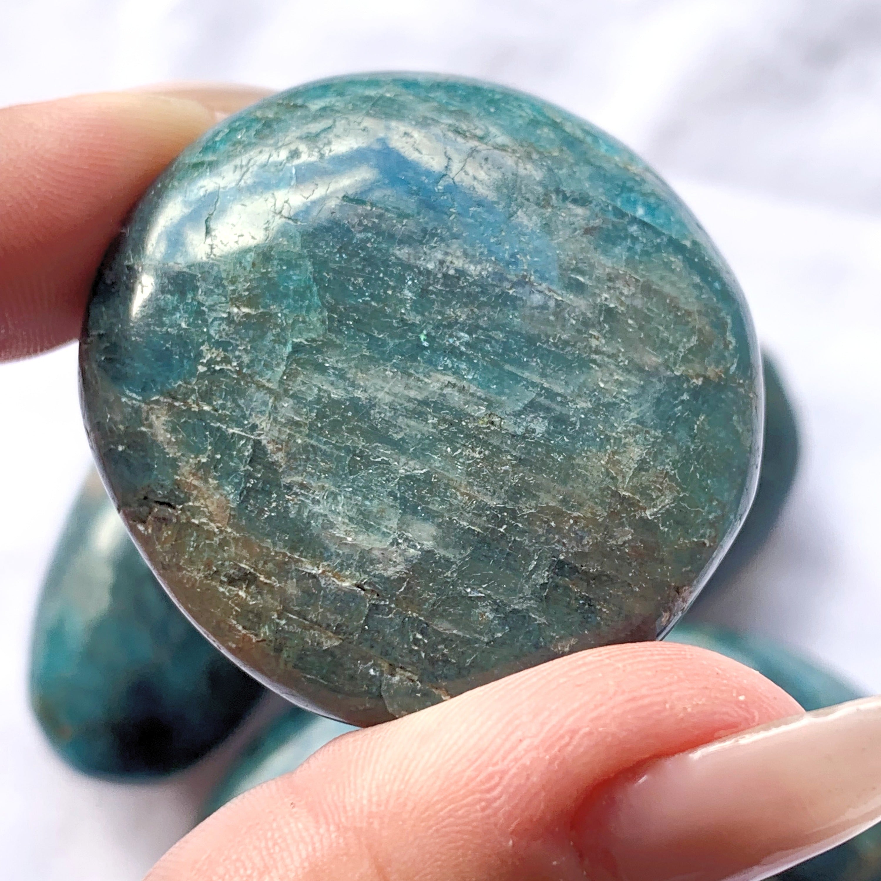 Apatite Palm Stone | Medium