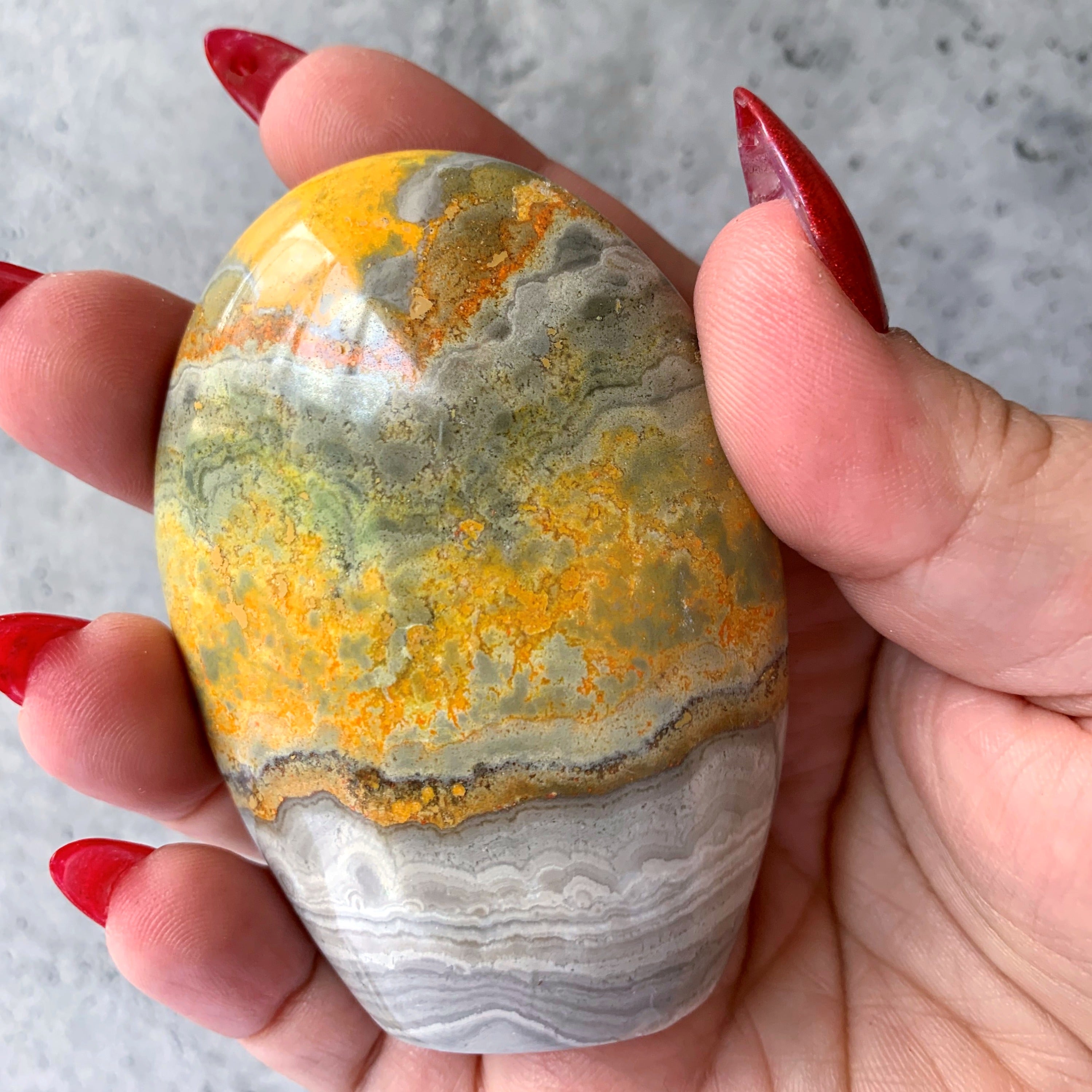 Bumblebee Jasper Freeform