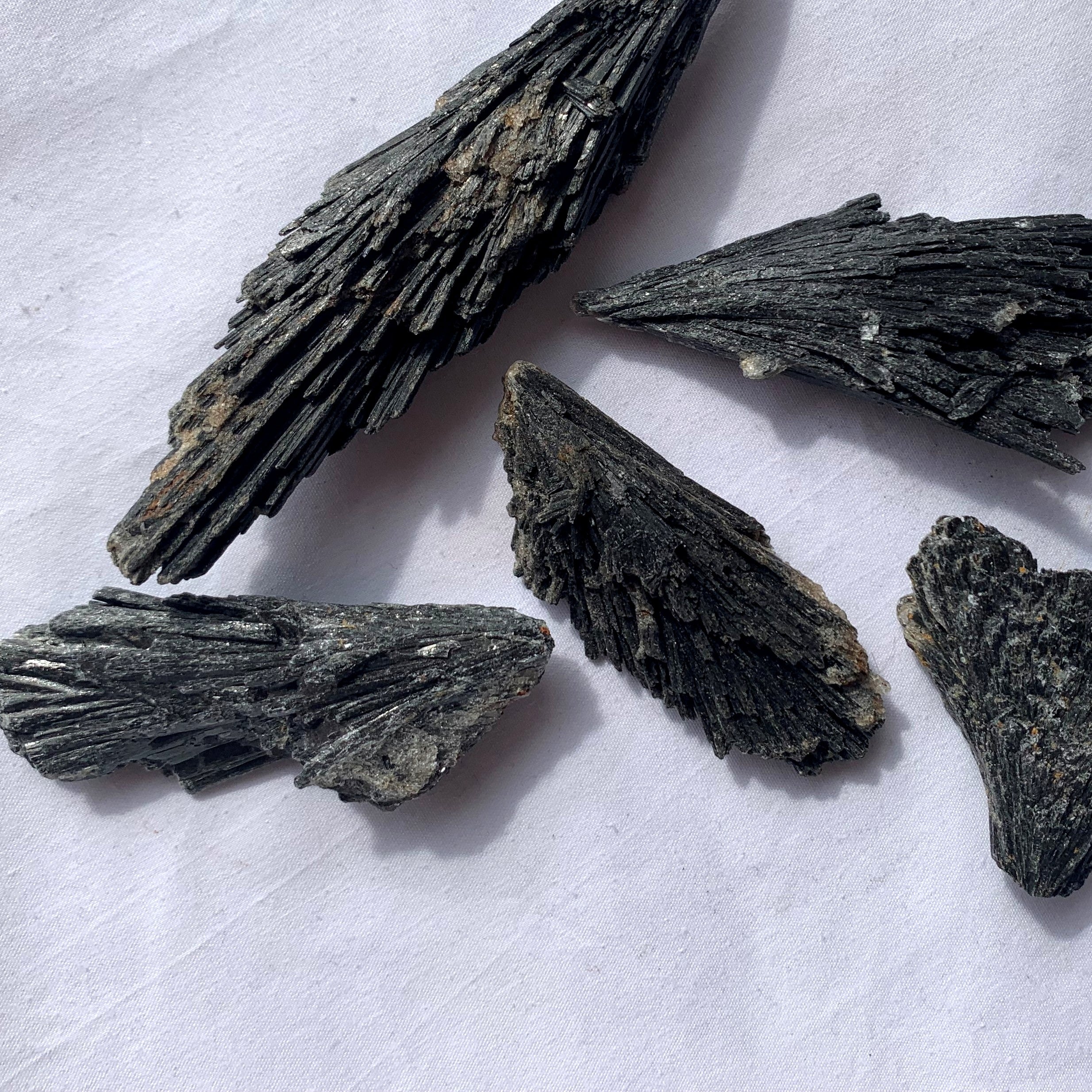 Black Kyanite Fans | Medium