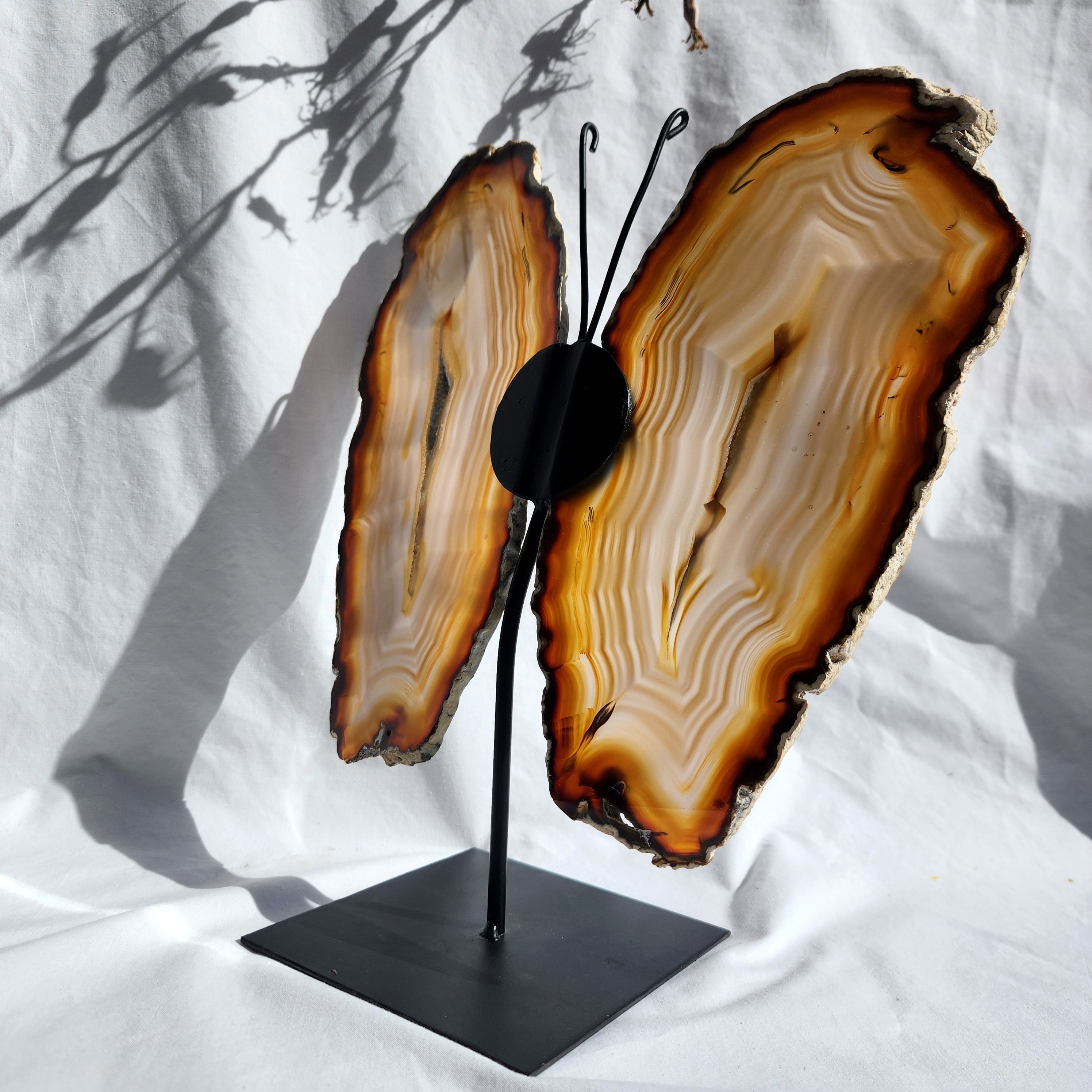 Natural Agate Butterfly Wings