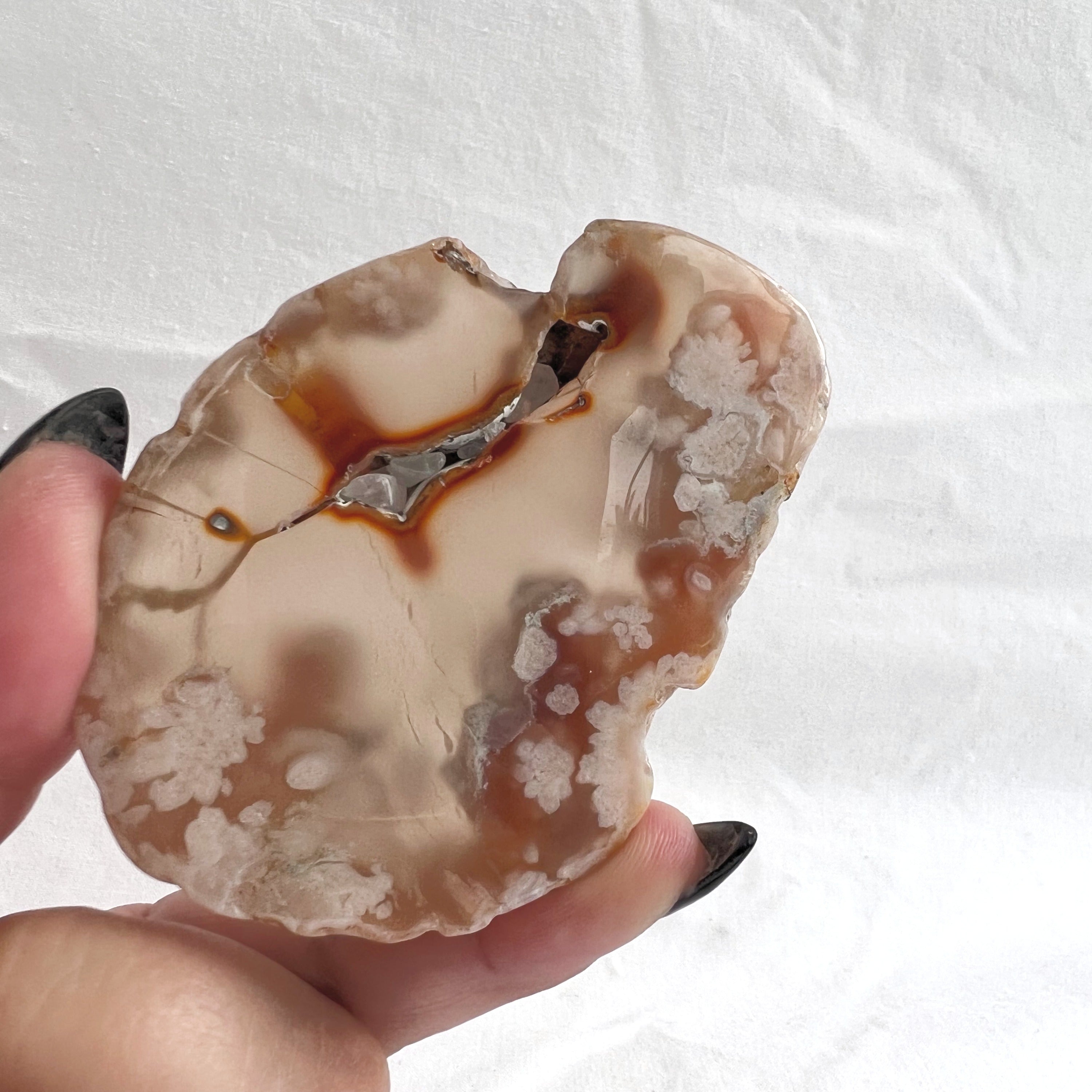Flower Agate Slice