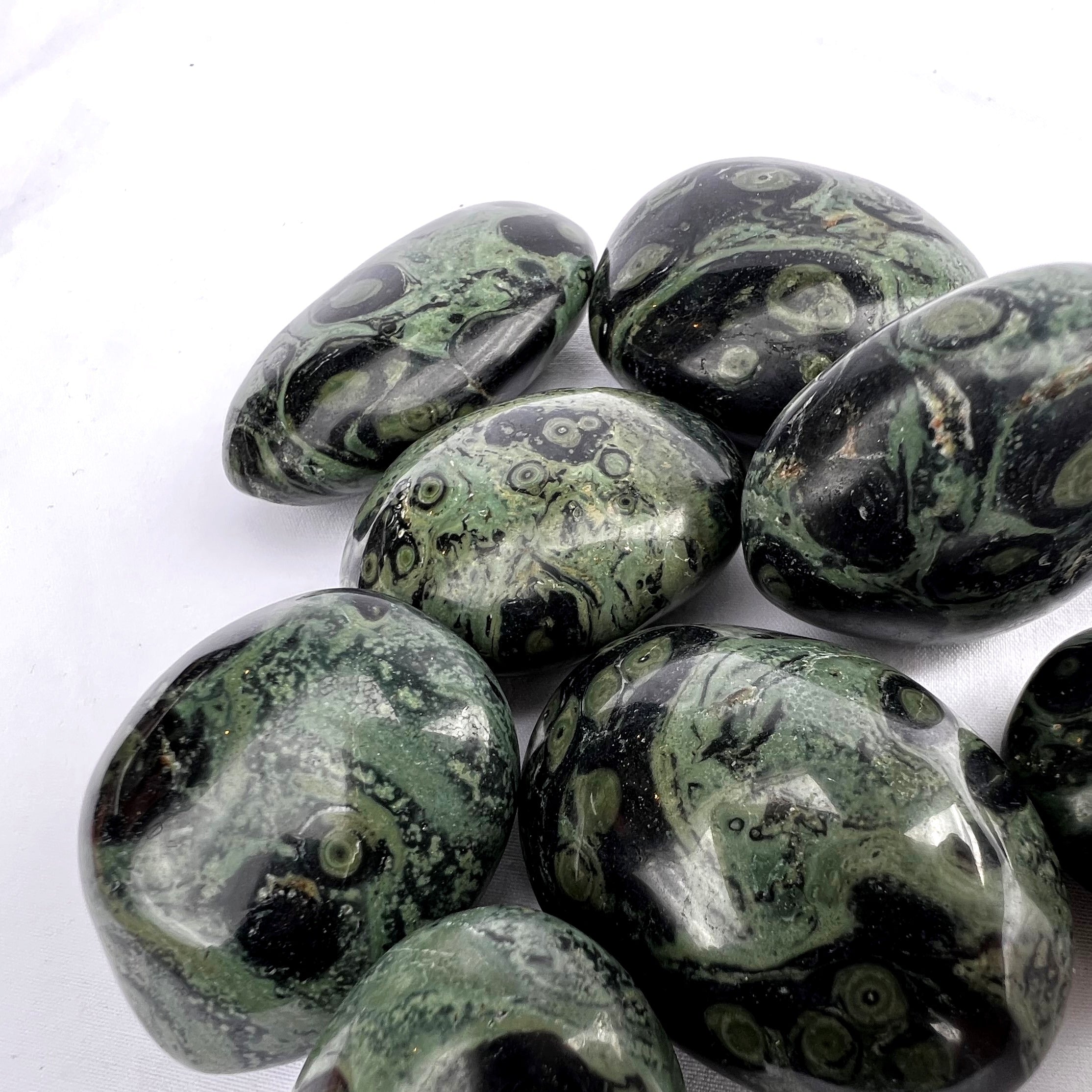 Kambaba Jasper Palm Stone | Medium