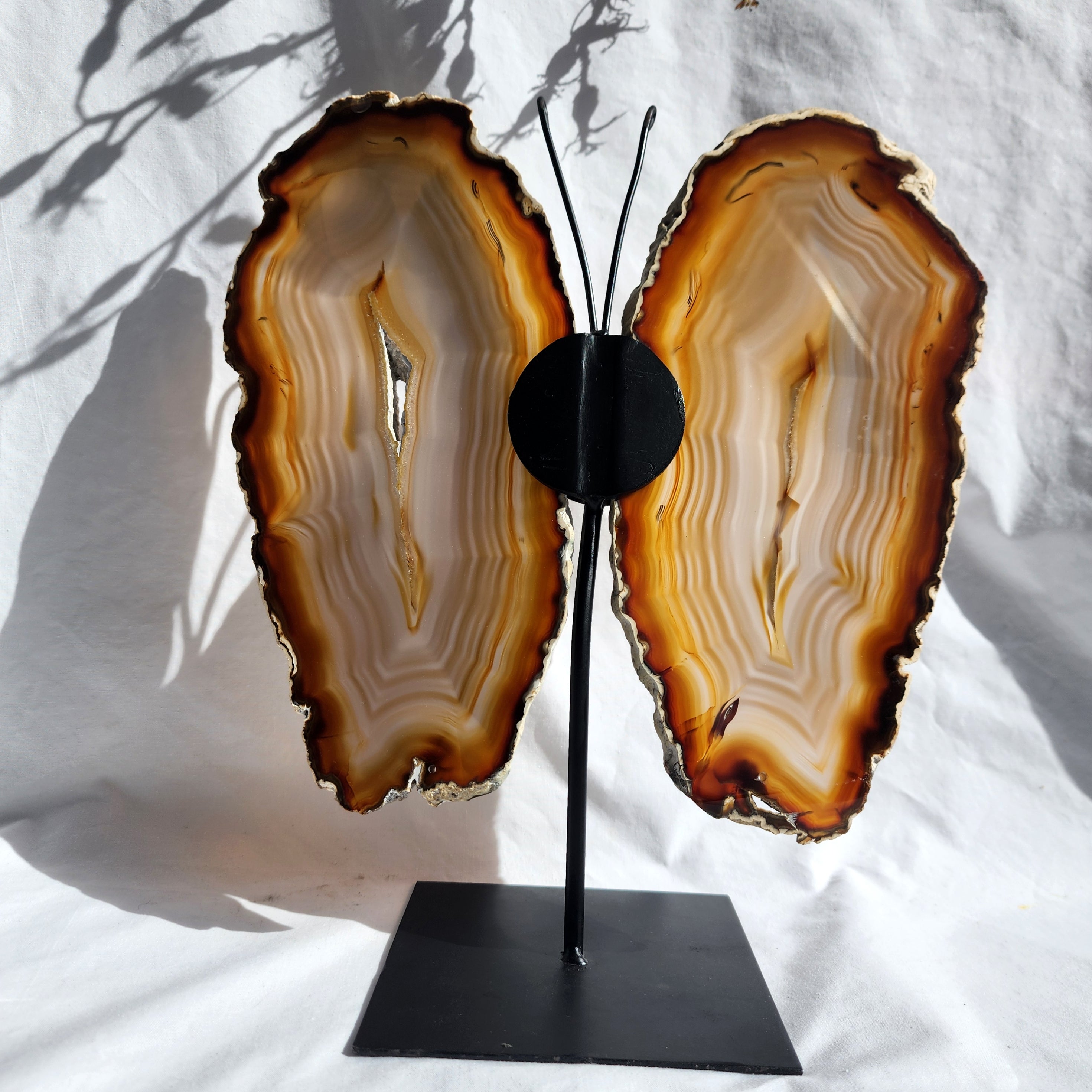 Natural Agate Butterfly Wings
