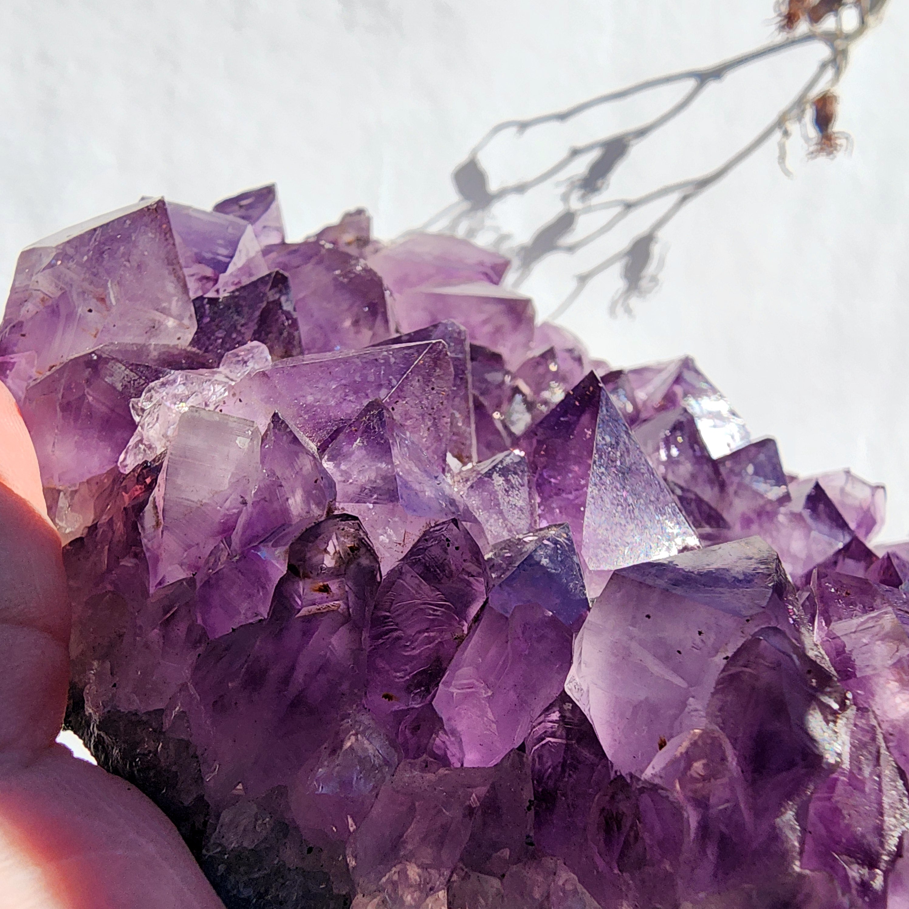 Amethyst Cluster