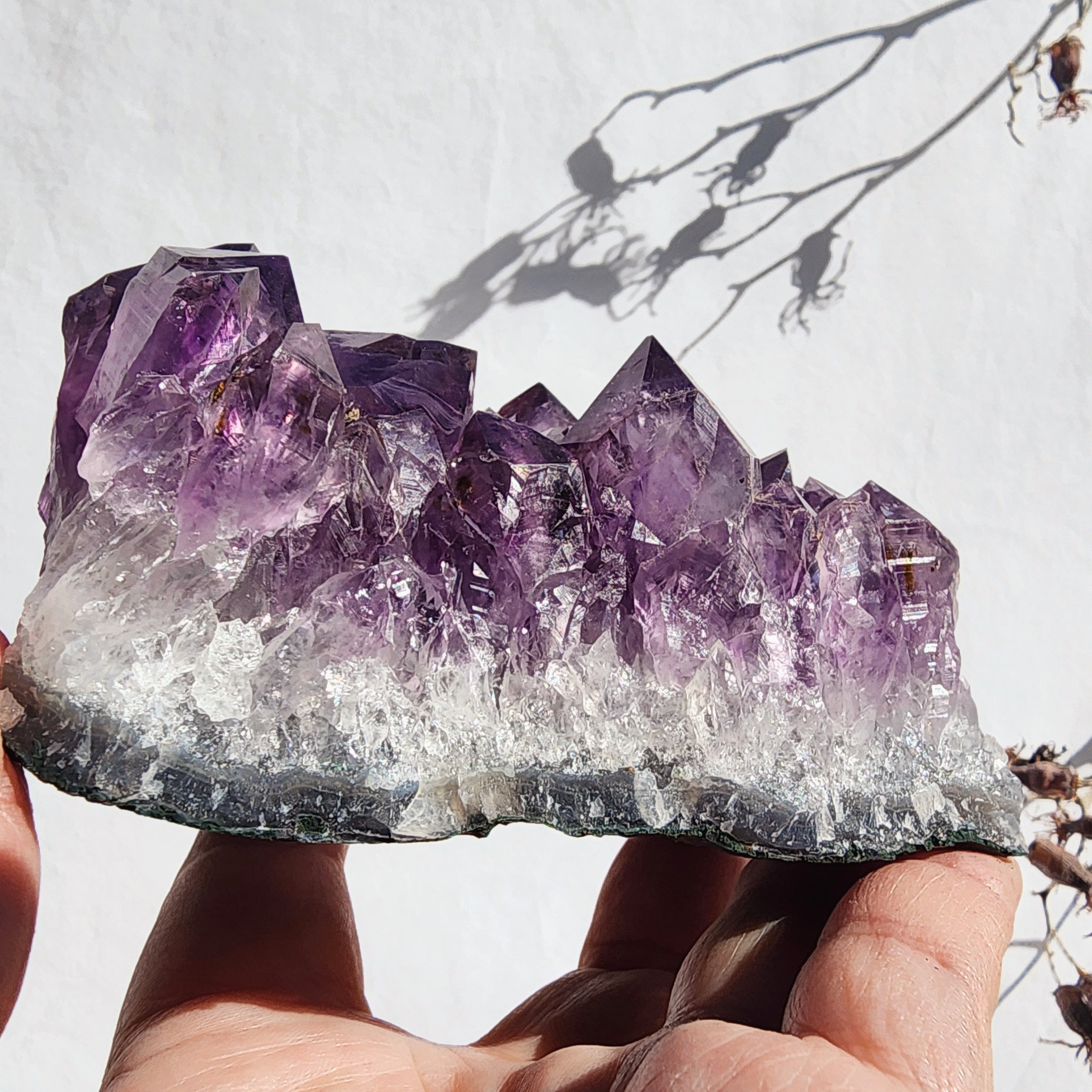 Amethyst Cluster