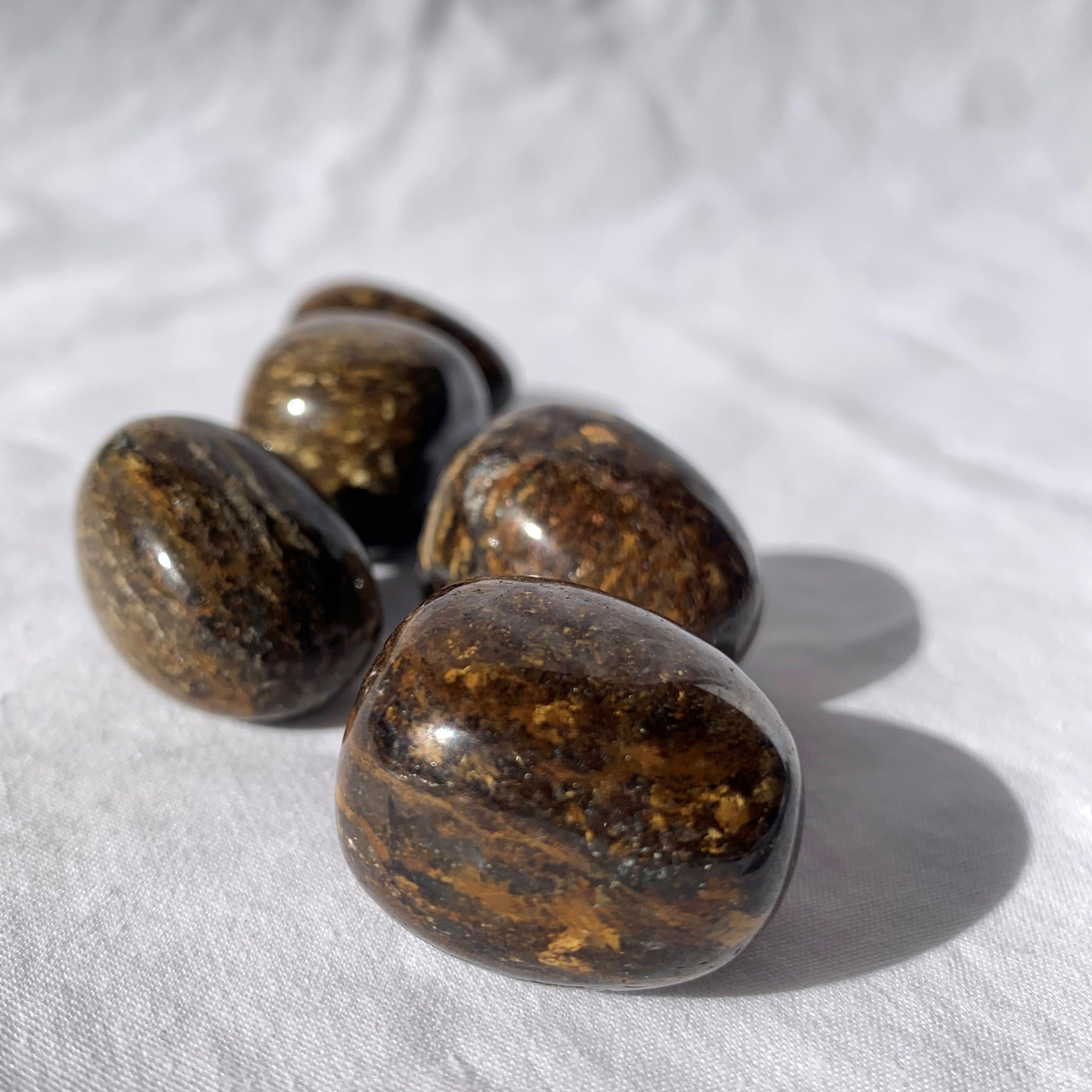 Bronzite Tumble