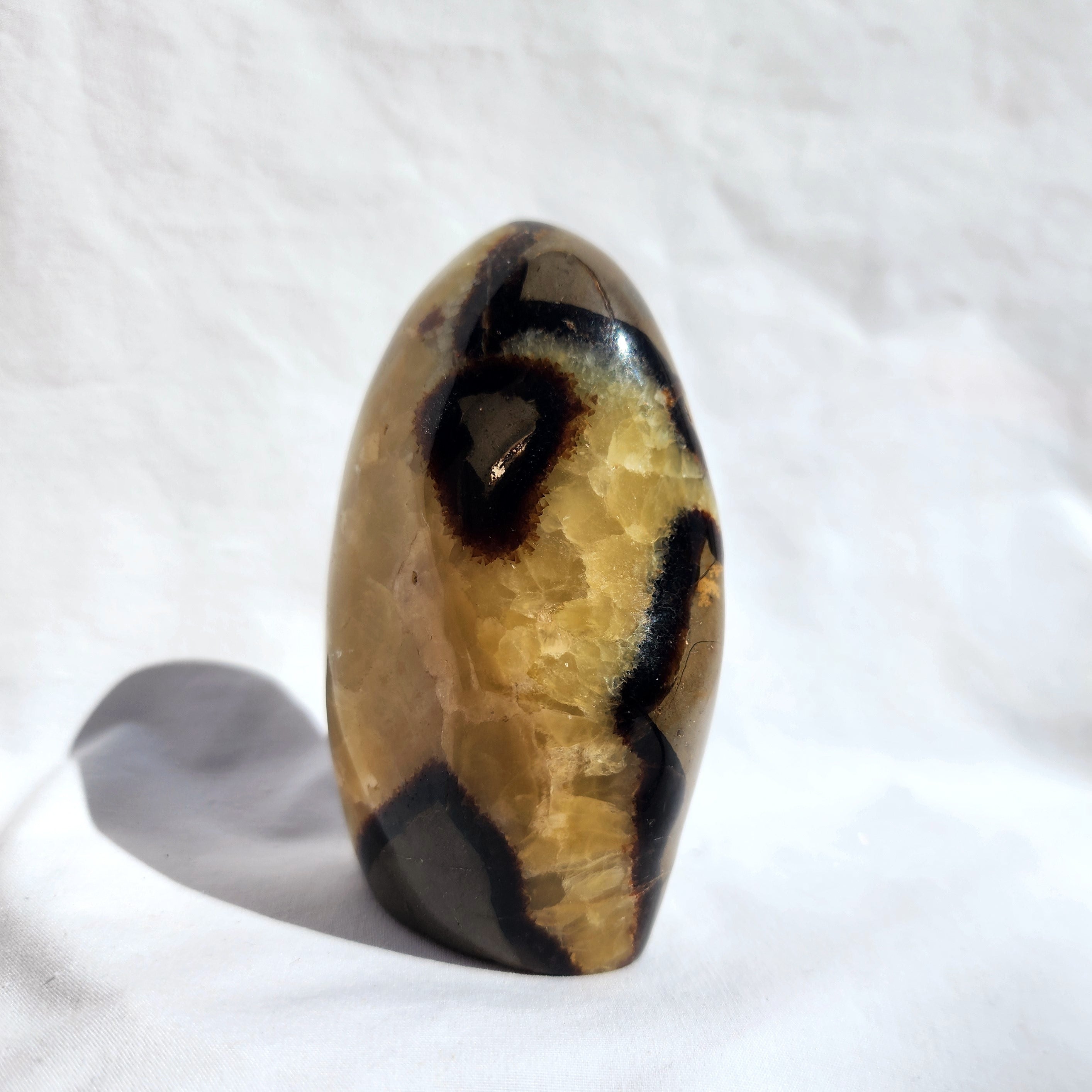 Septarian Freeform