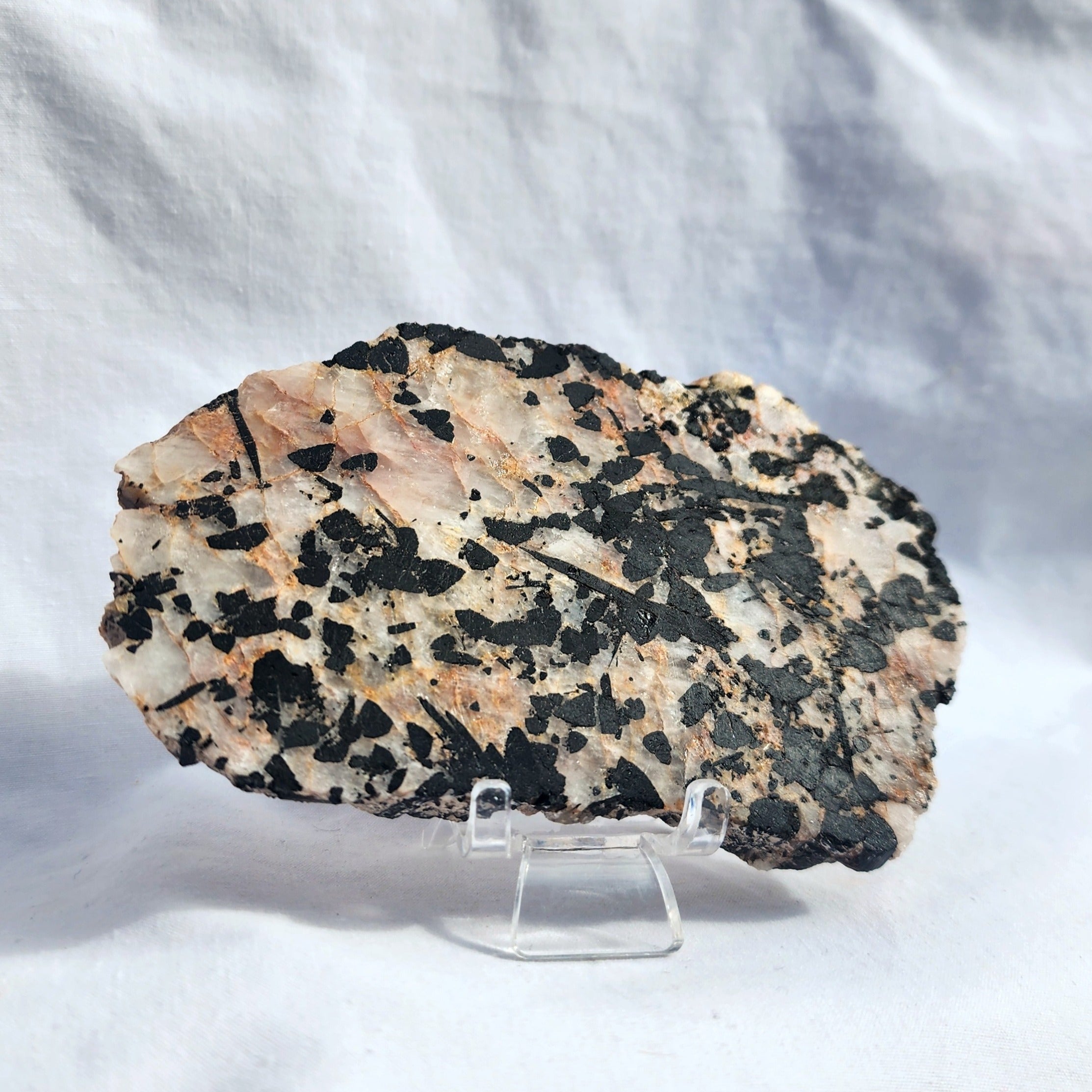 Tourmaline in Quartz Slice