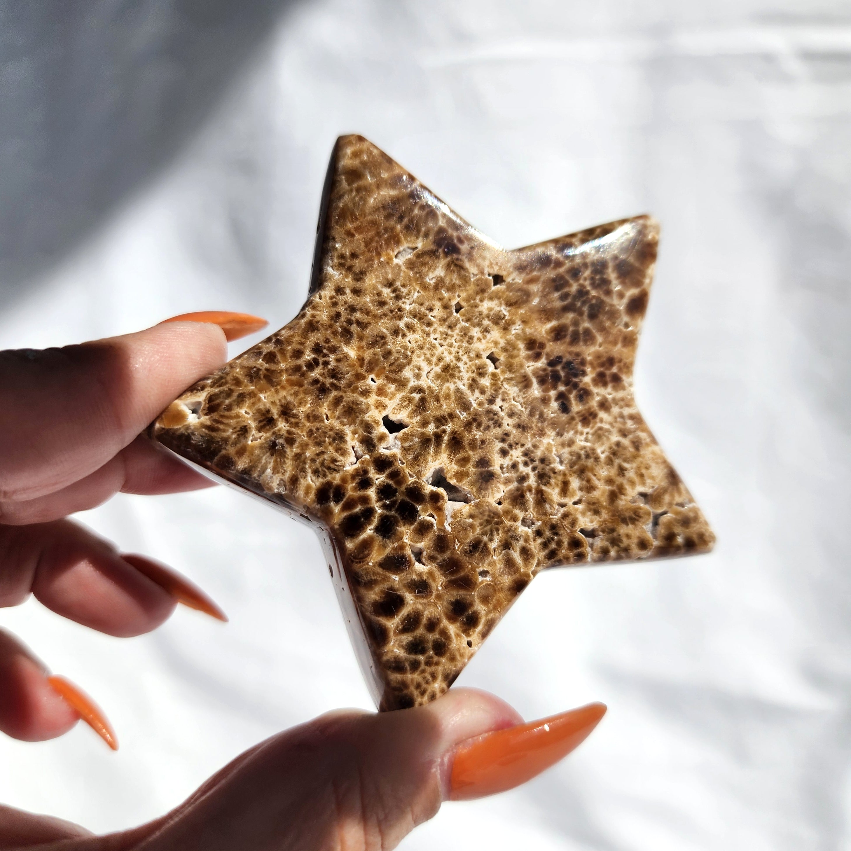 Chocolate Calcite aka Brown Aragonite Star