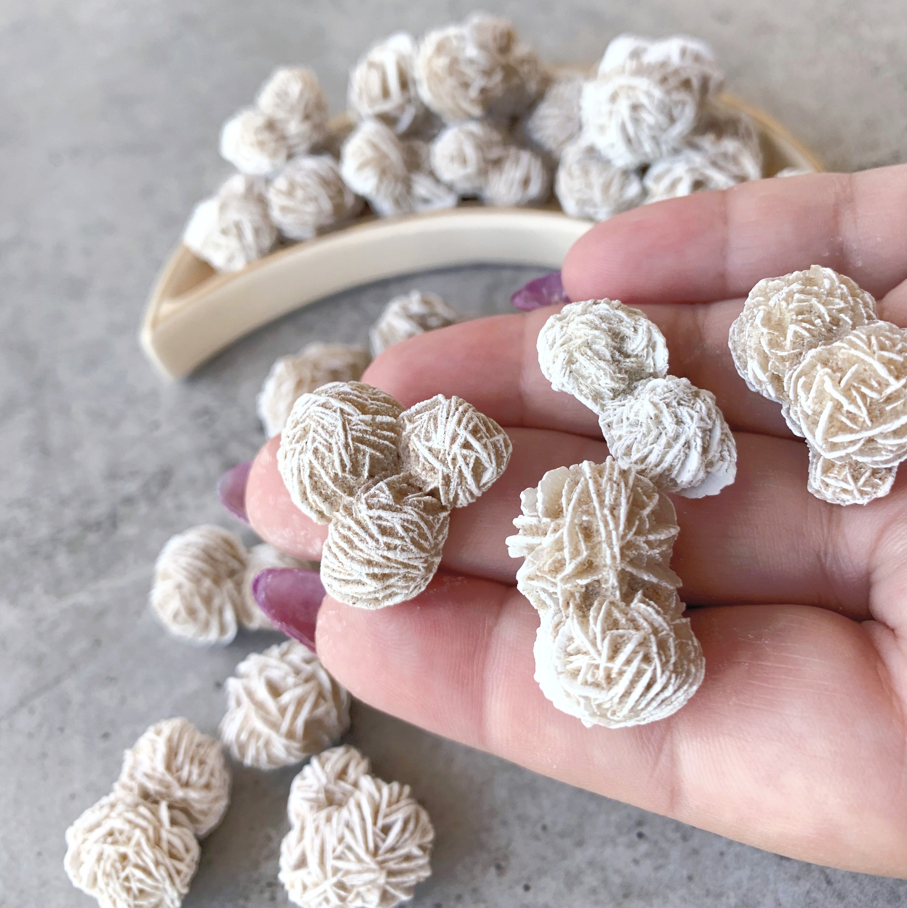 Desert Rose Cluster | Mini