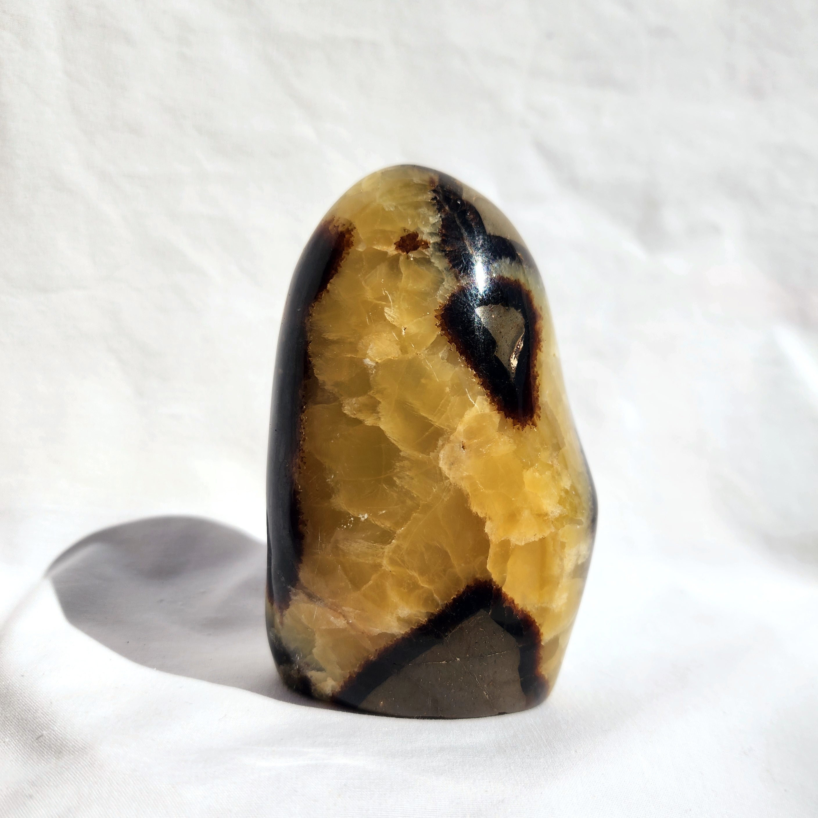 Septarian Freeform
