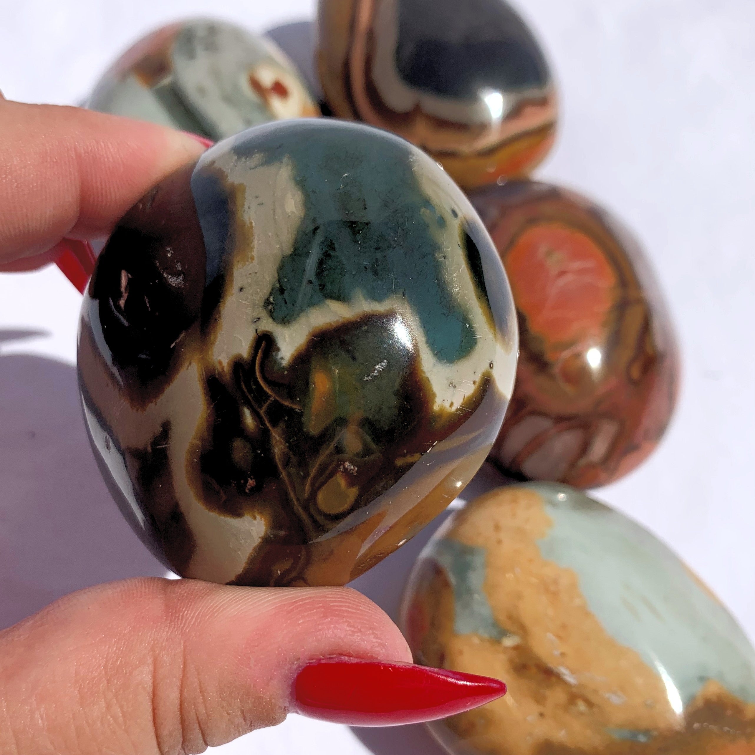 Polychrome Jasper Palm Stone | X-Large
