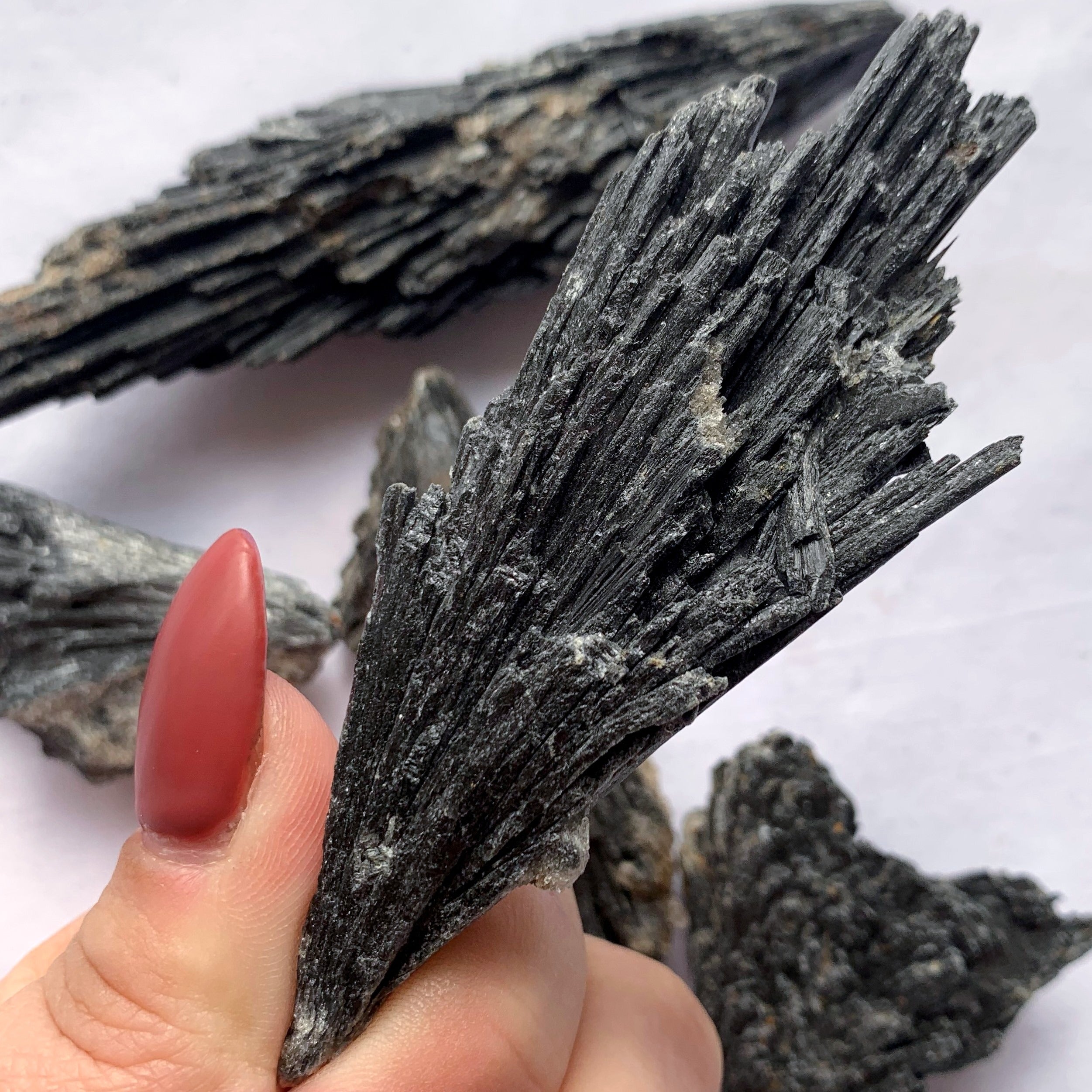 Black Kyanite Fans | Medium