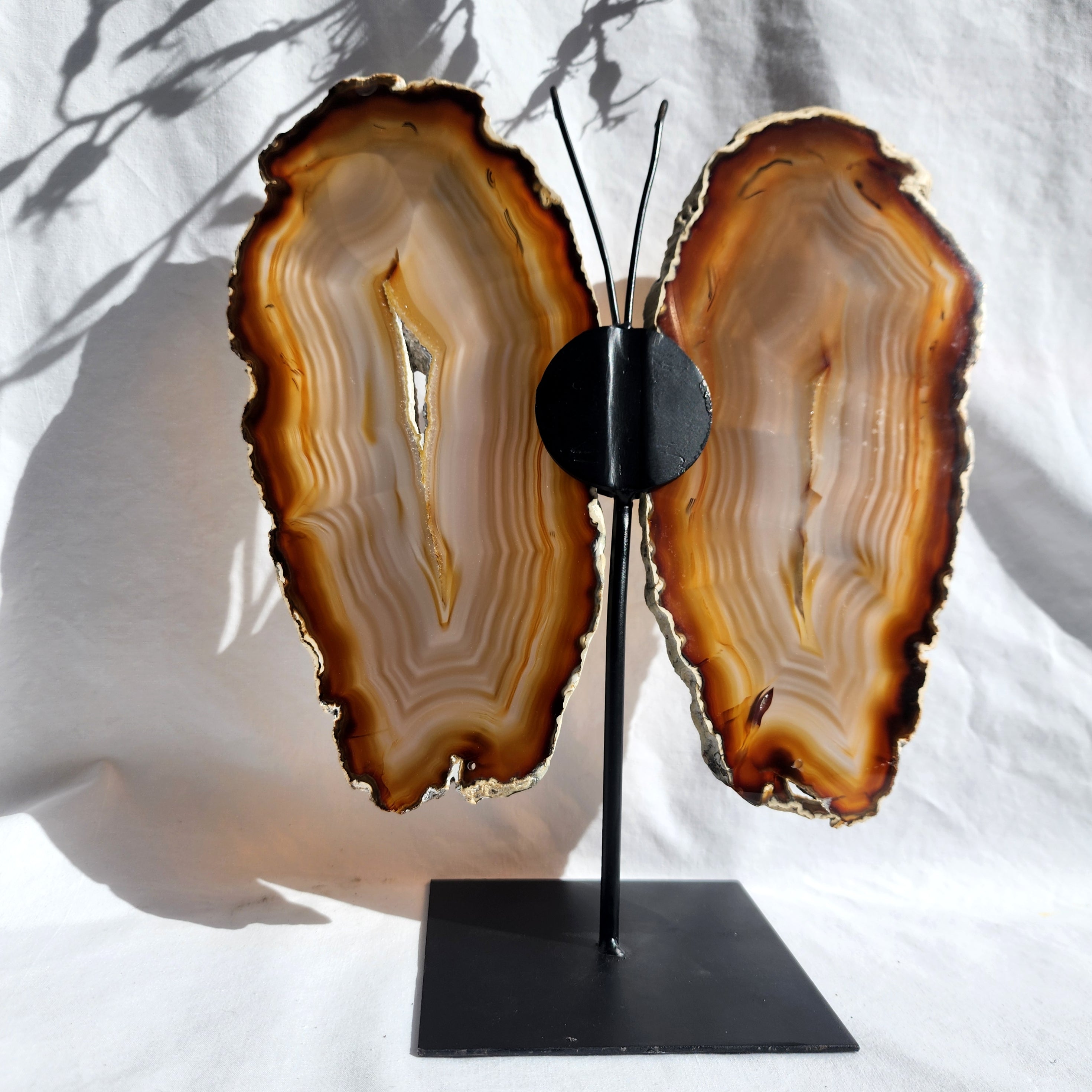 Natural Agate Butterfly Wings