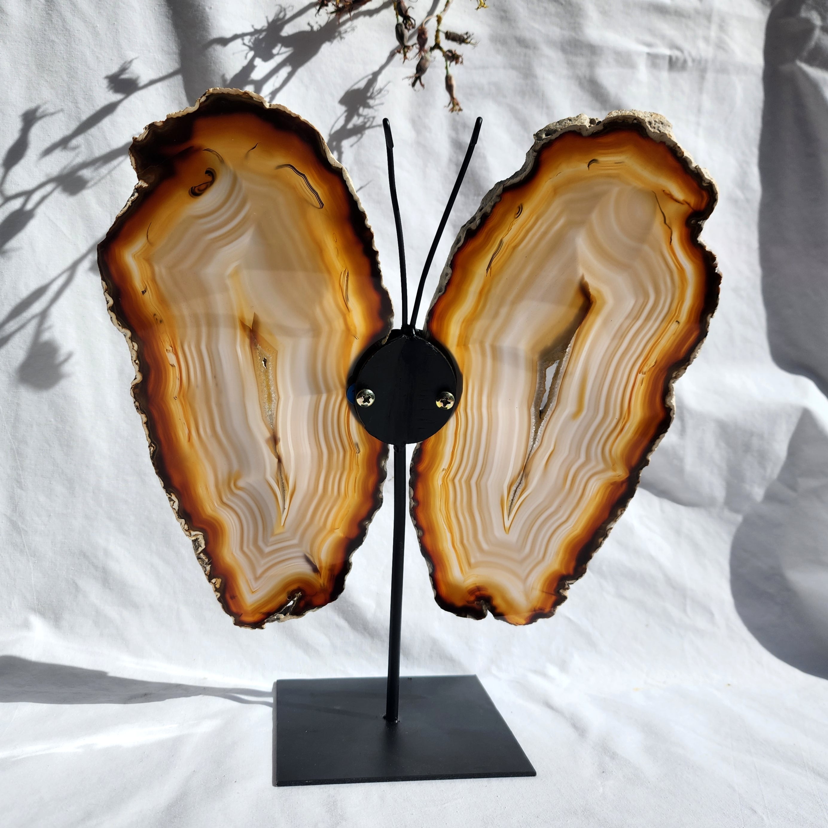 Natural Agate Butterfly Wings