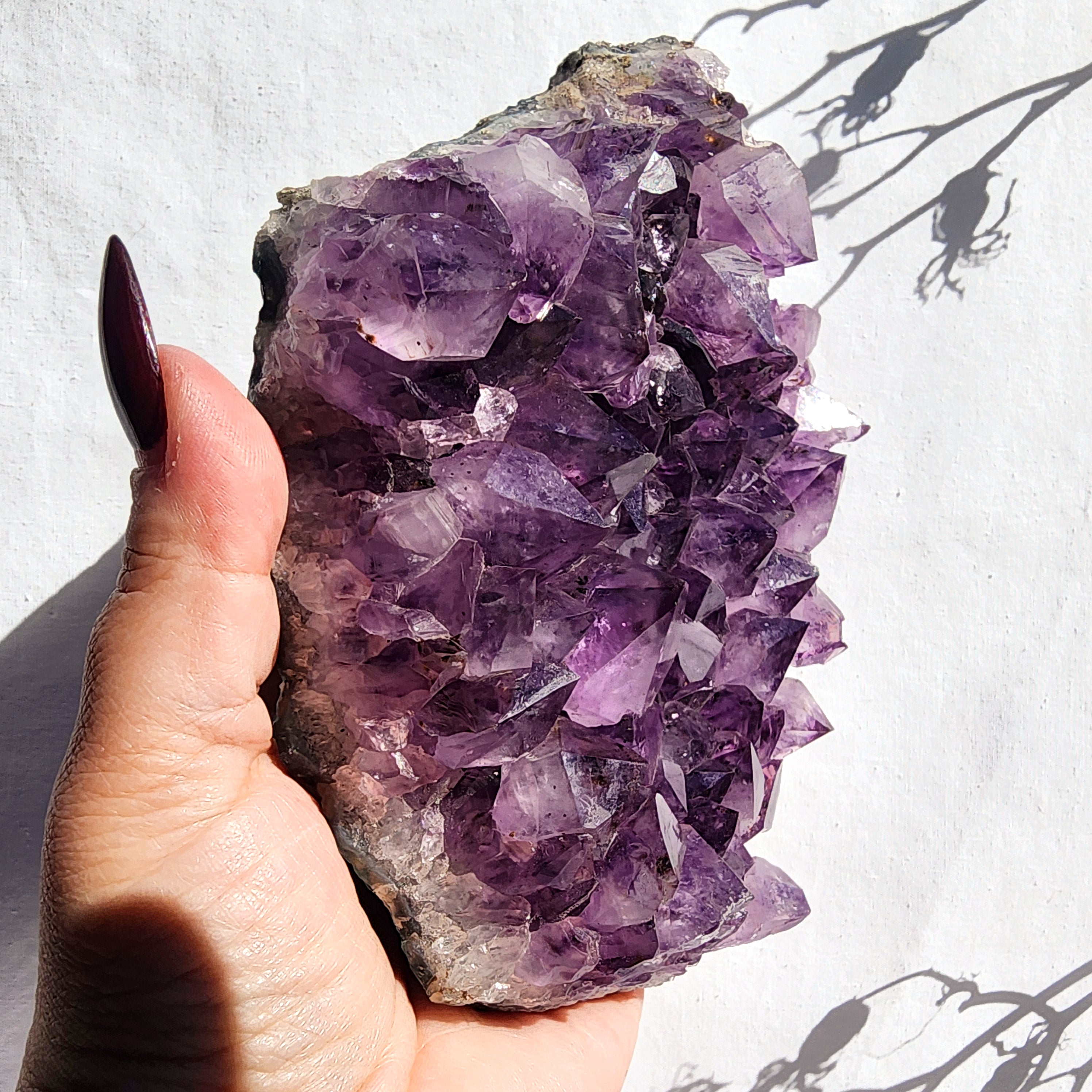 Amethyst Cluster