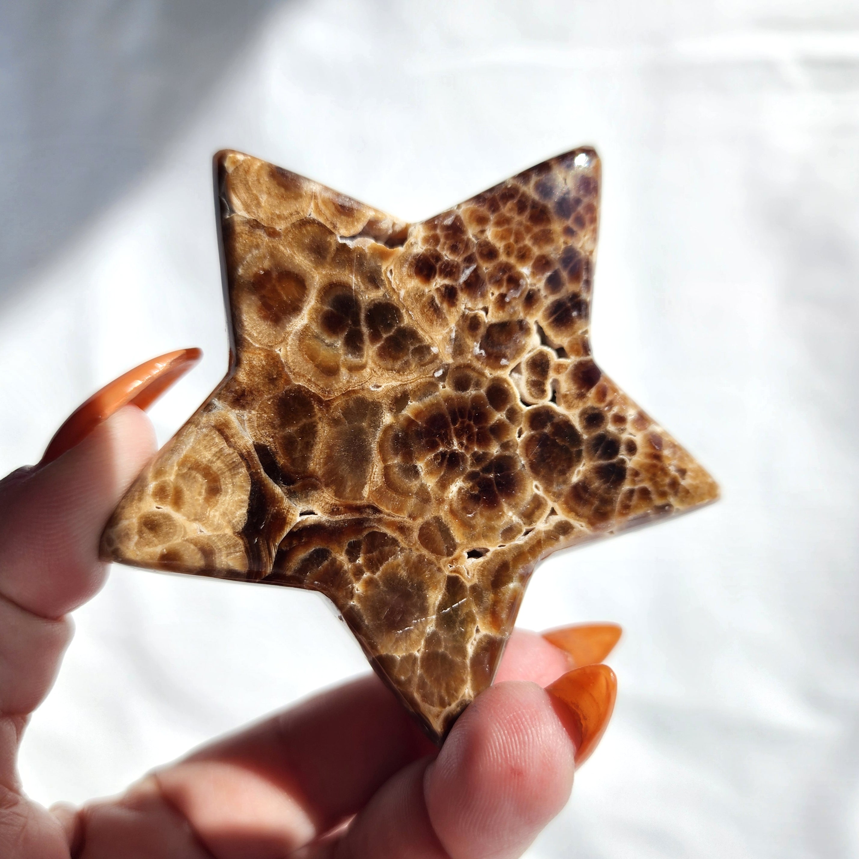 Chocolate Calcite aka Brown Aragonite Star
