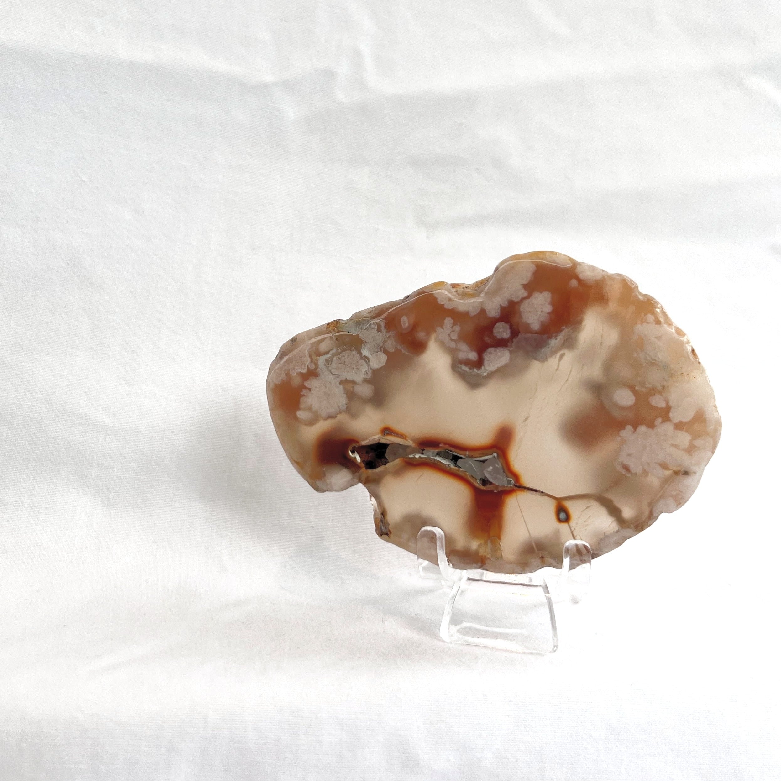 Flower Agate Slice
