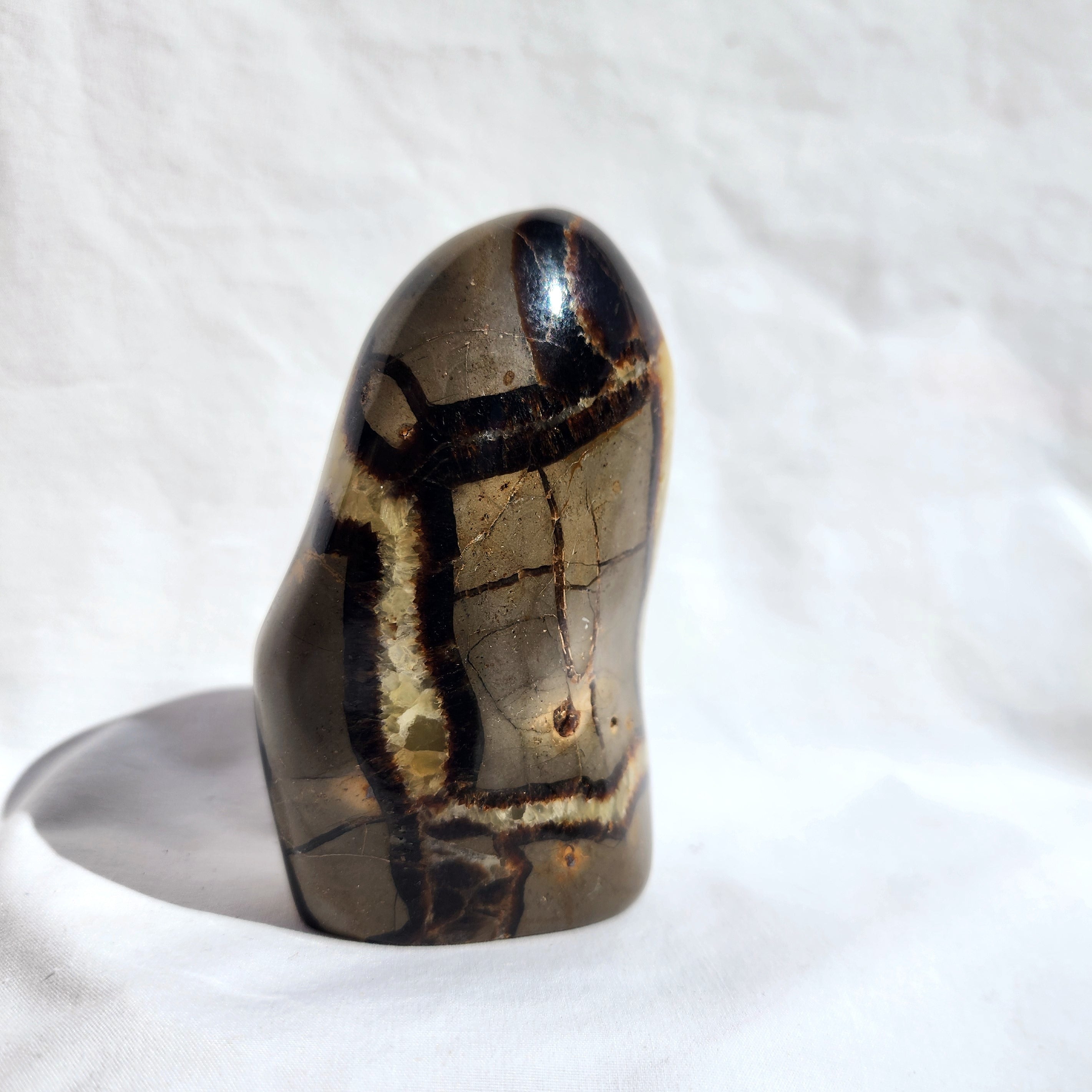 Septarian Freeform