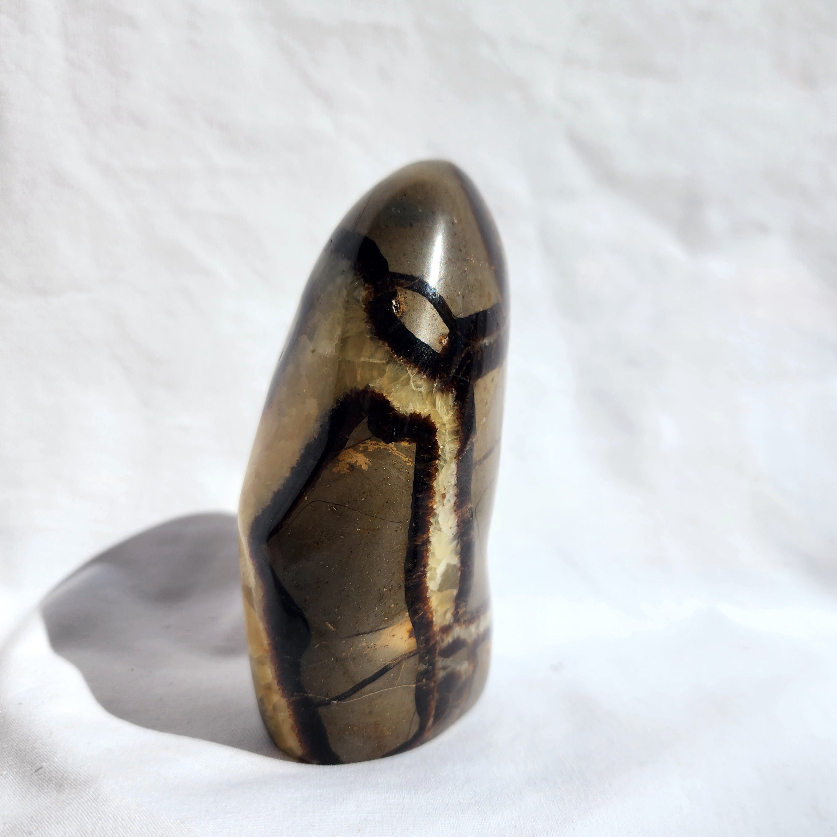 Septarian Freeform