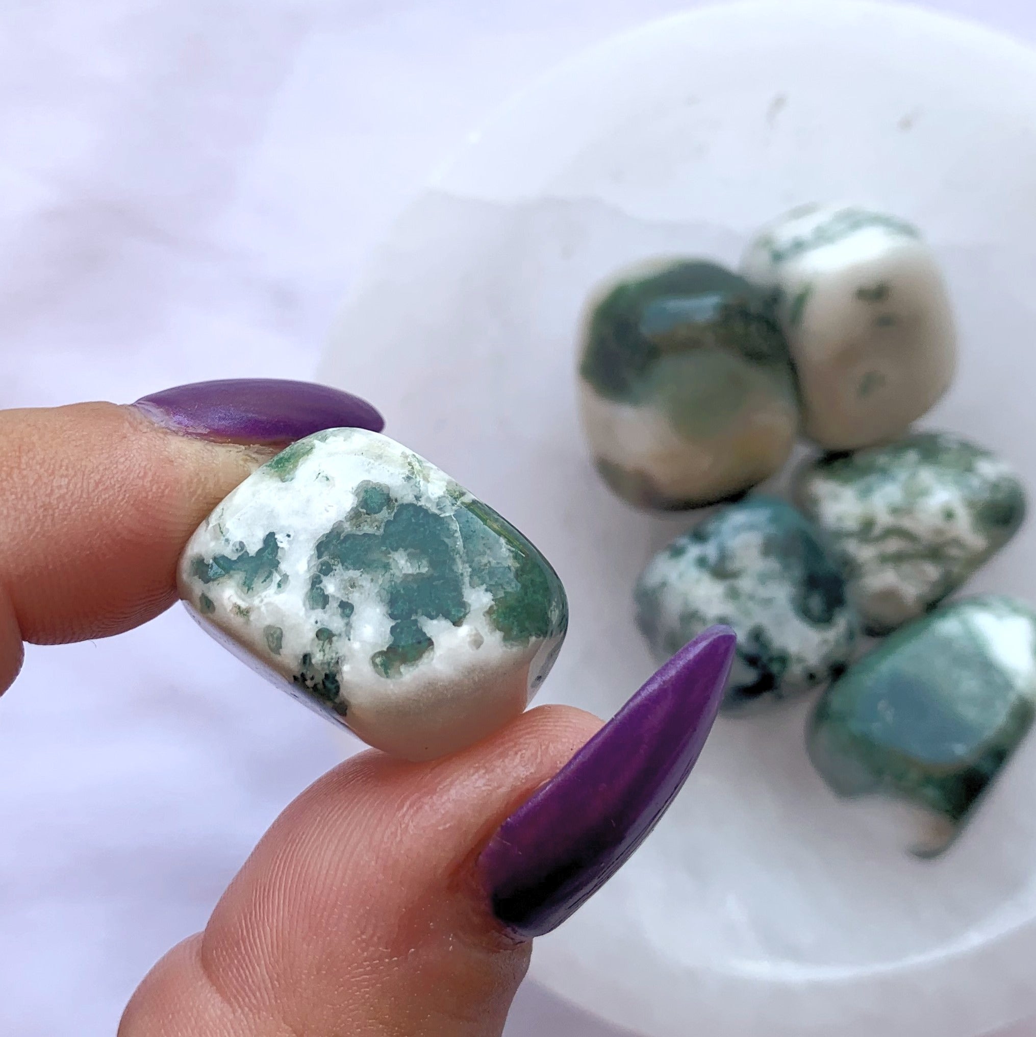 Tree Agate Tumble | Small