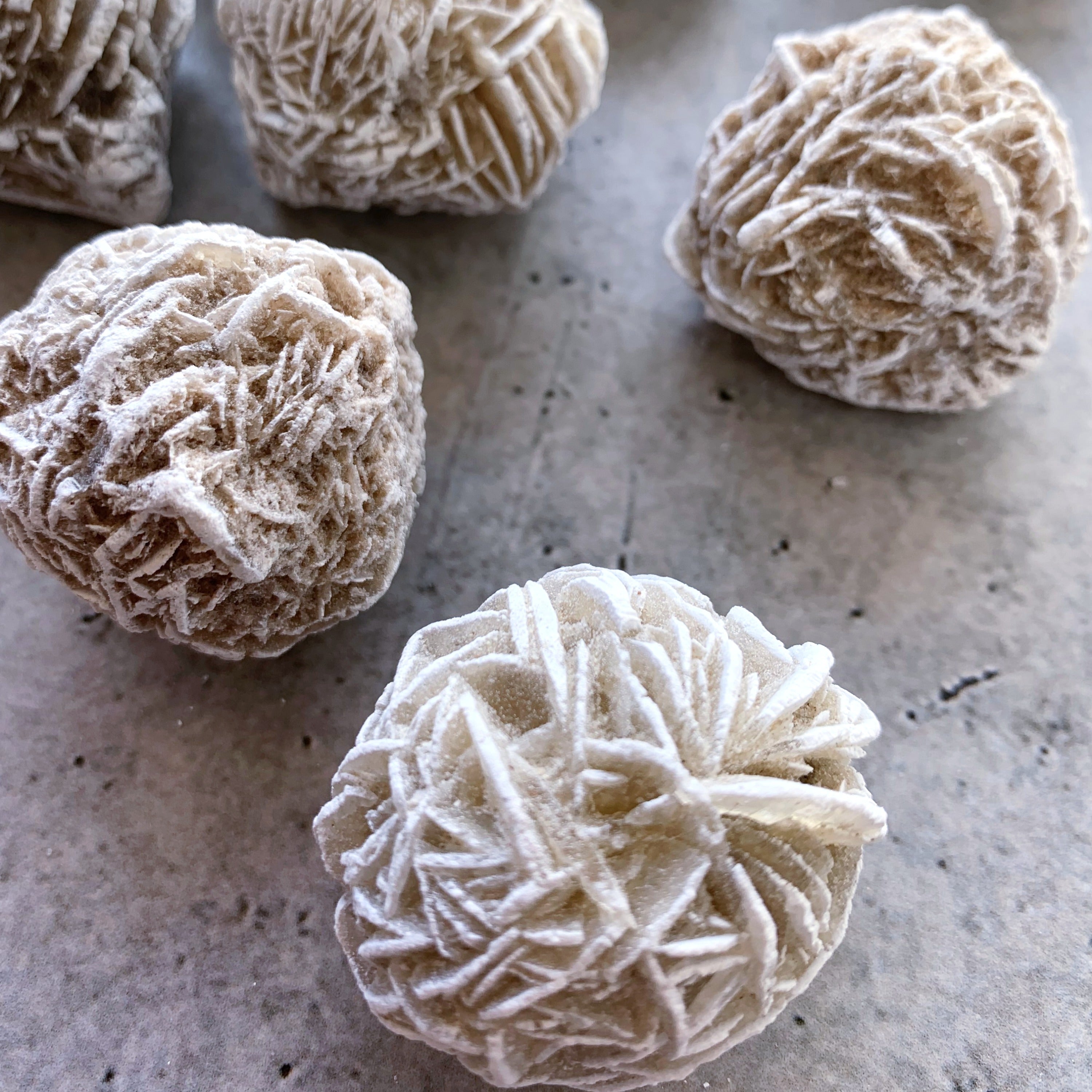 Desert Rose Cluster | Medium