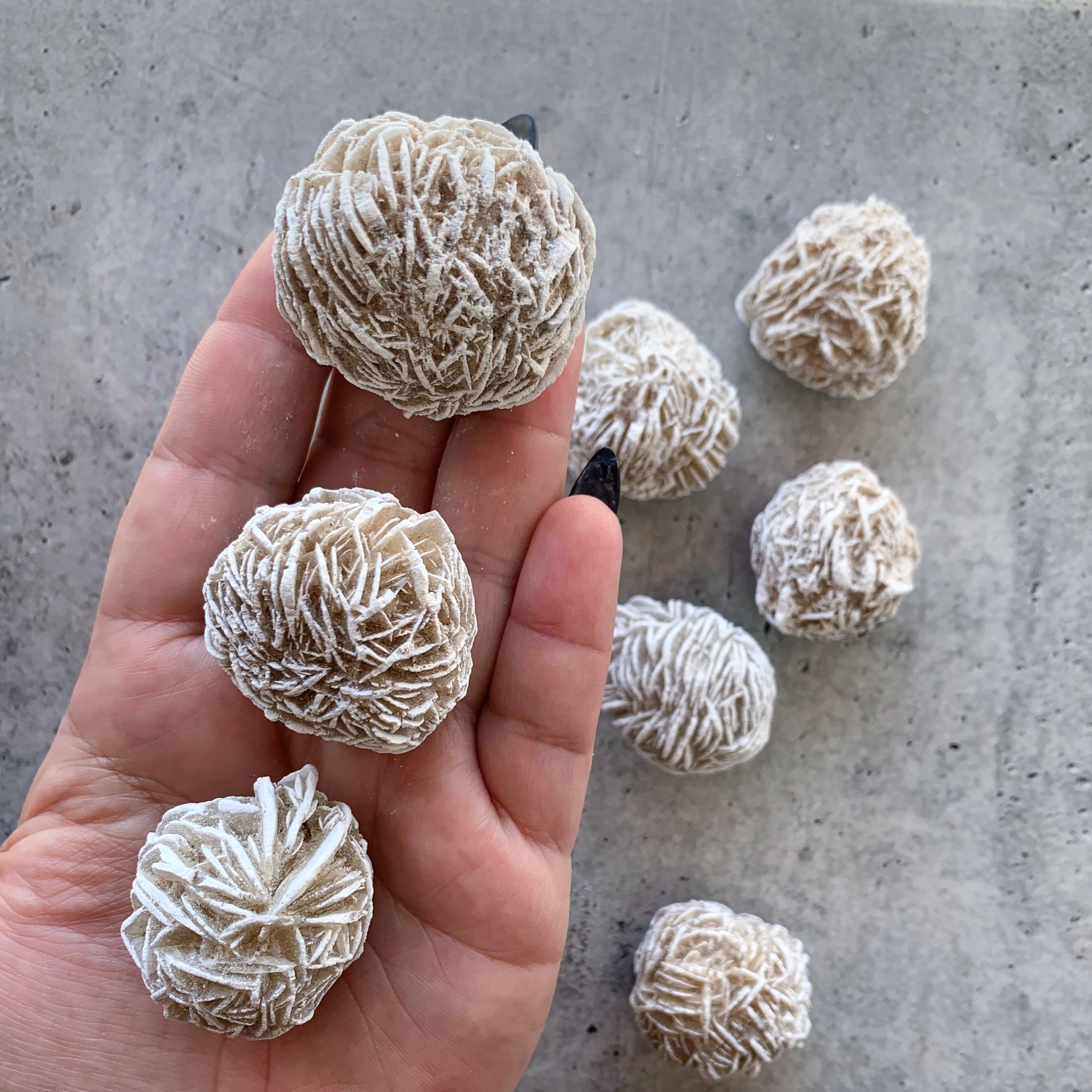 Desert Rose Cluster | Medium