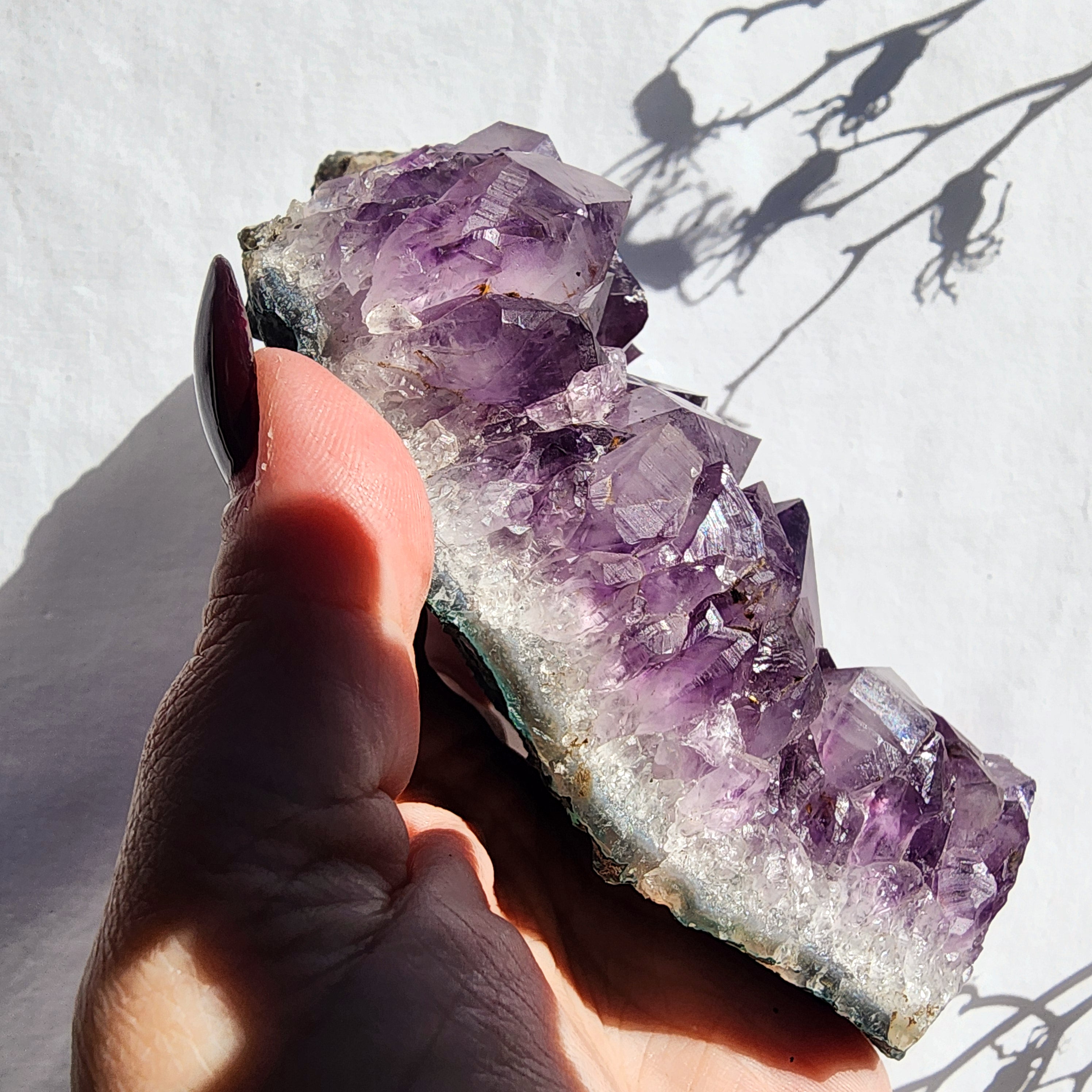 Amethyst Cluster