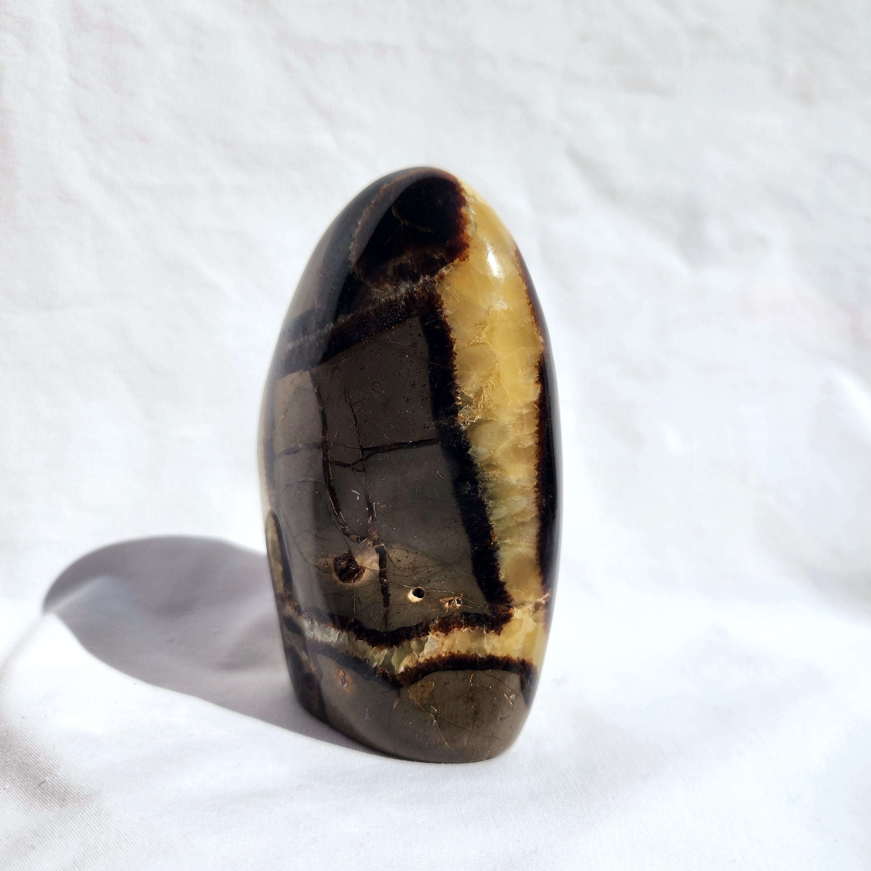 Septarian Freeform
