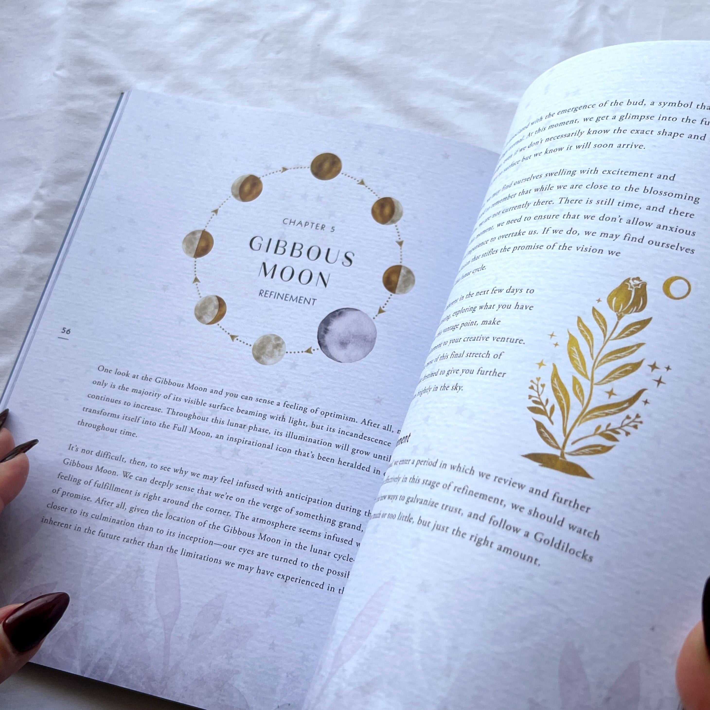 The Complete Guide to Living by the Moon