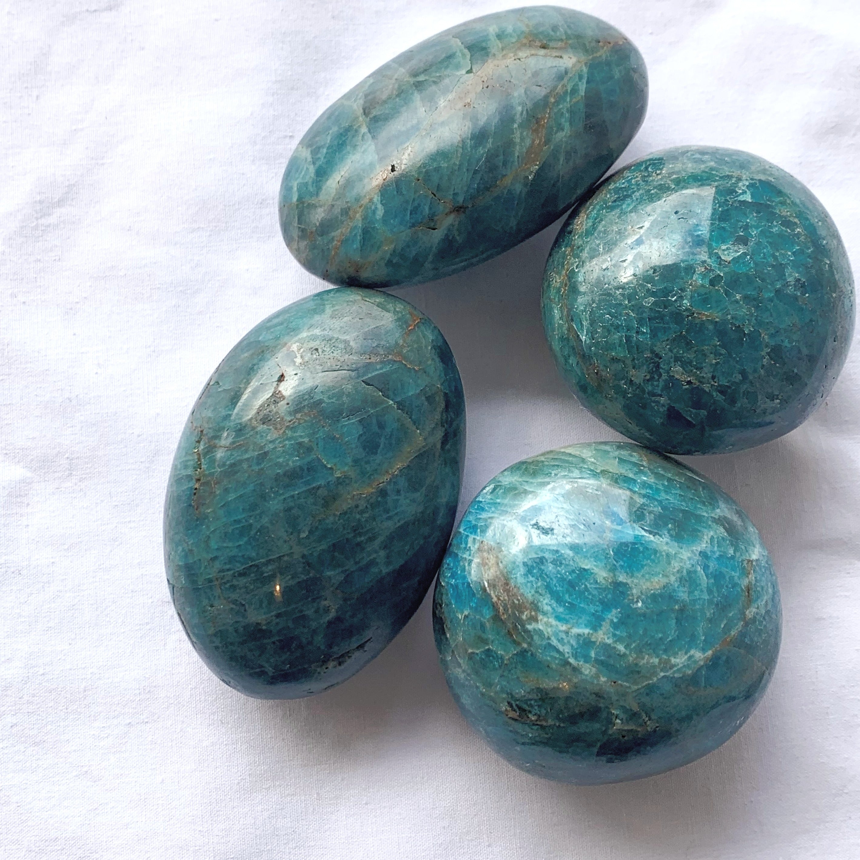 Apatite Palmstone | X-Large