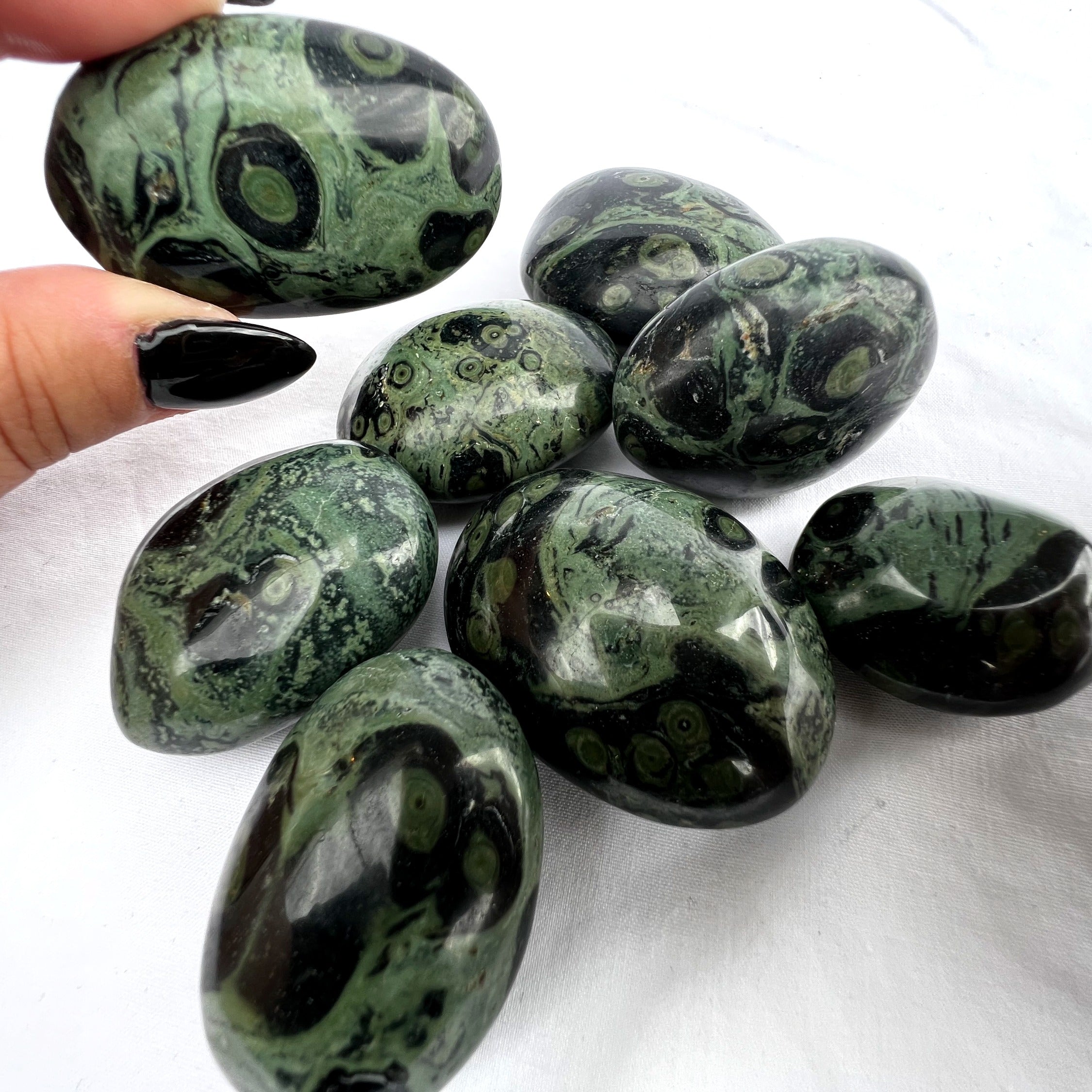 Kambaba Jasper Palm Stone | Medium