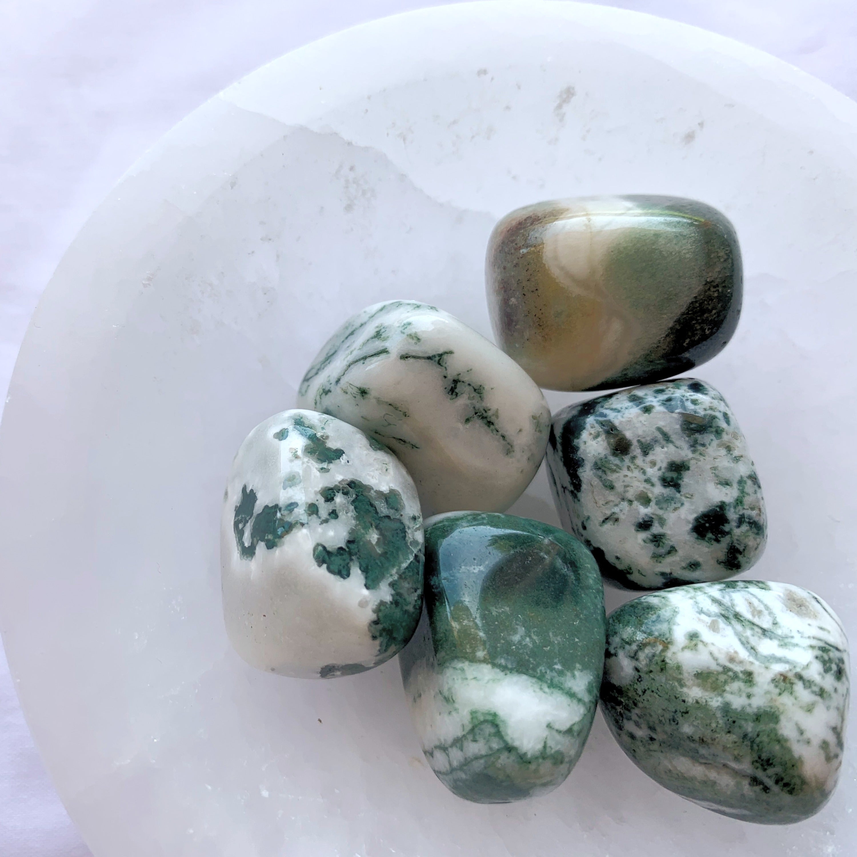 Tree Agate Tumble | Small