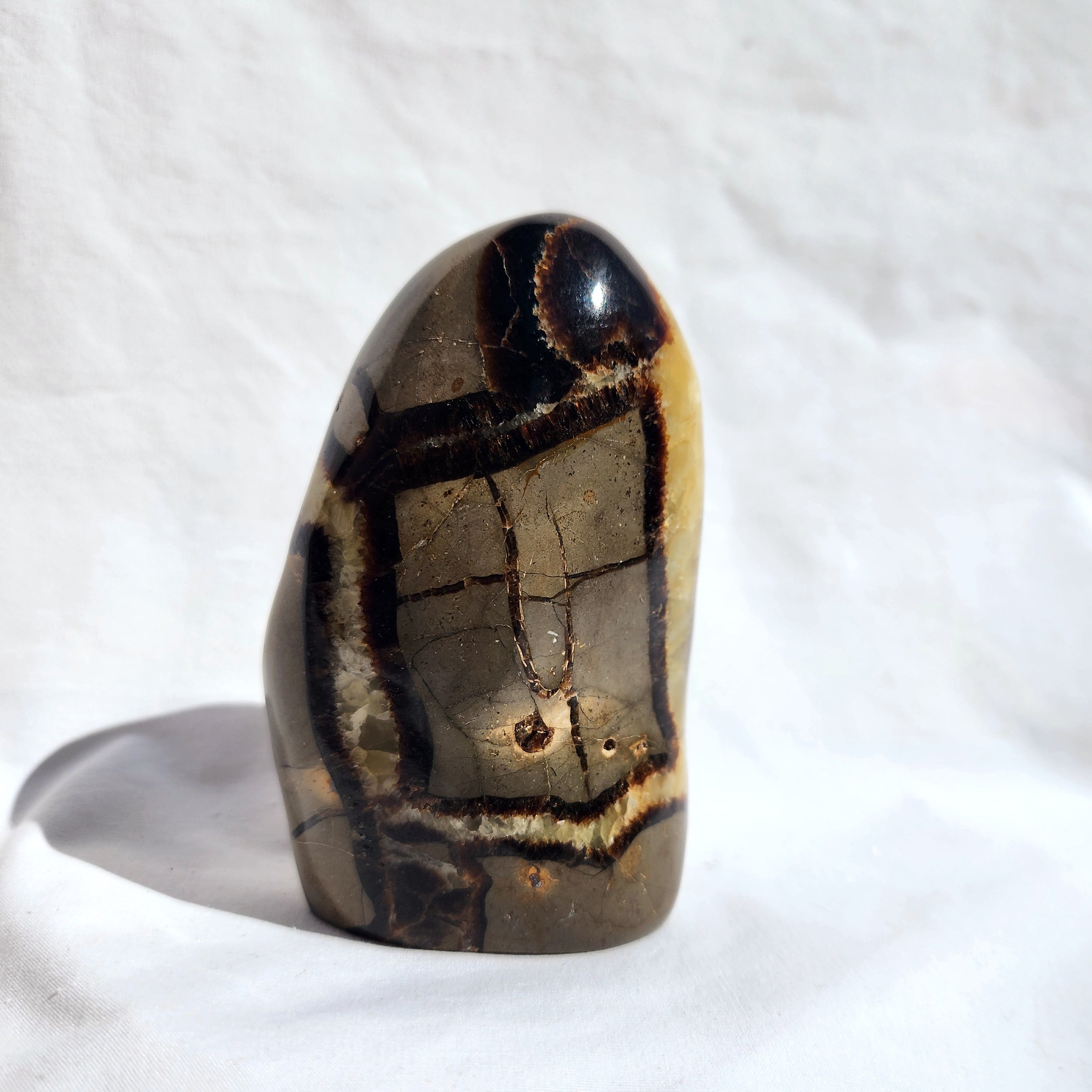 Septarian Freeform