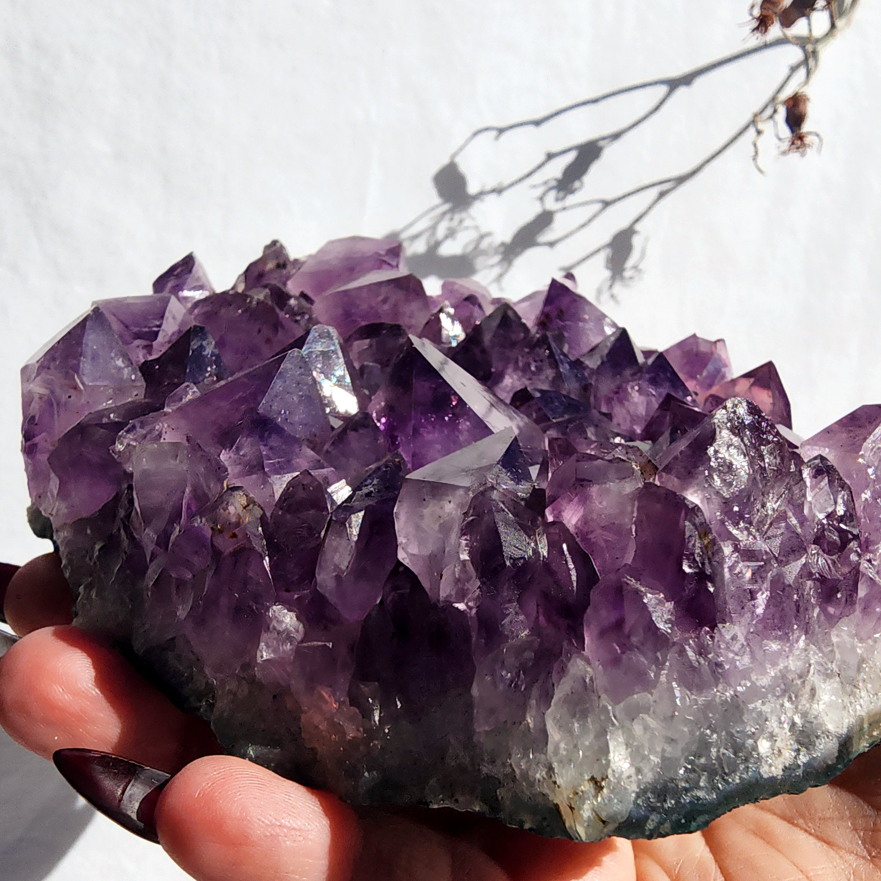 Amethyst Cluster