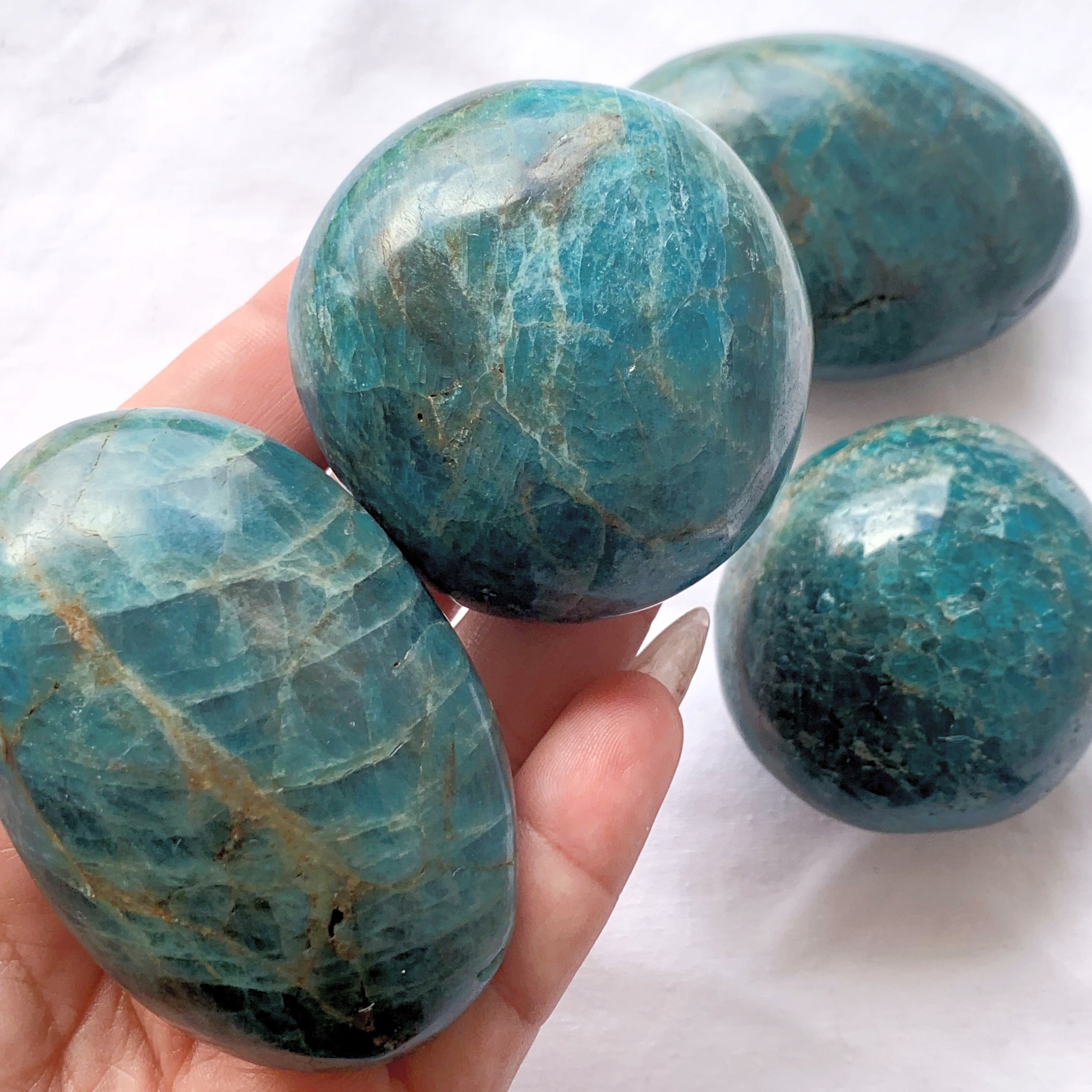 Apatite Palmstone | X-Large