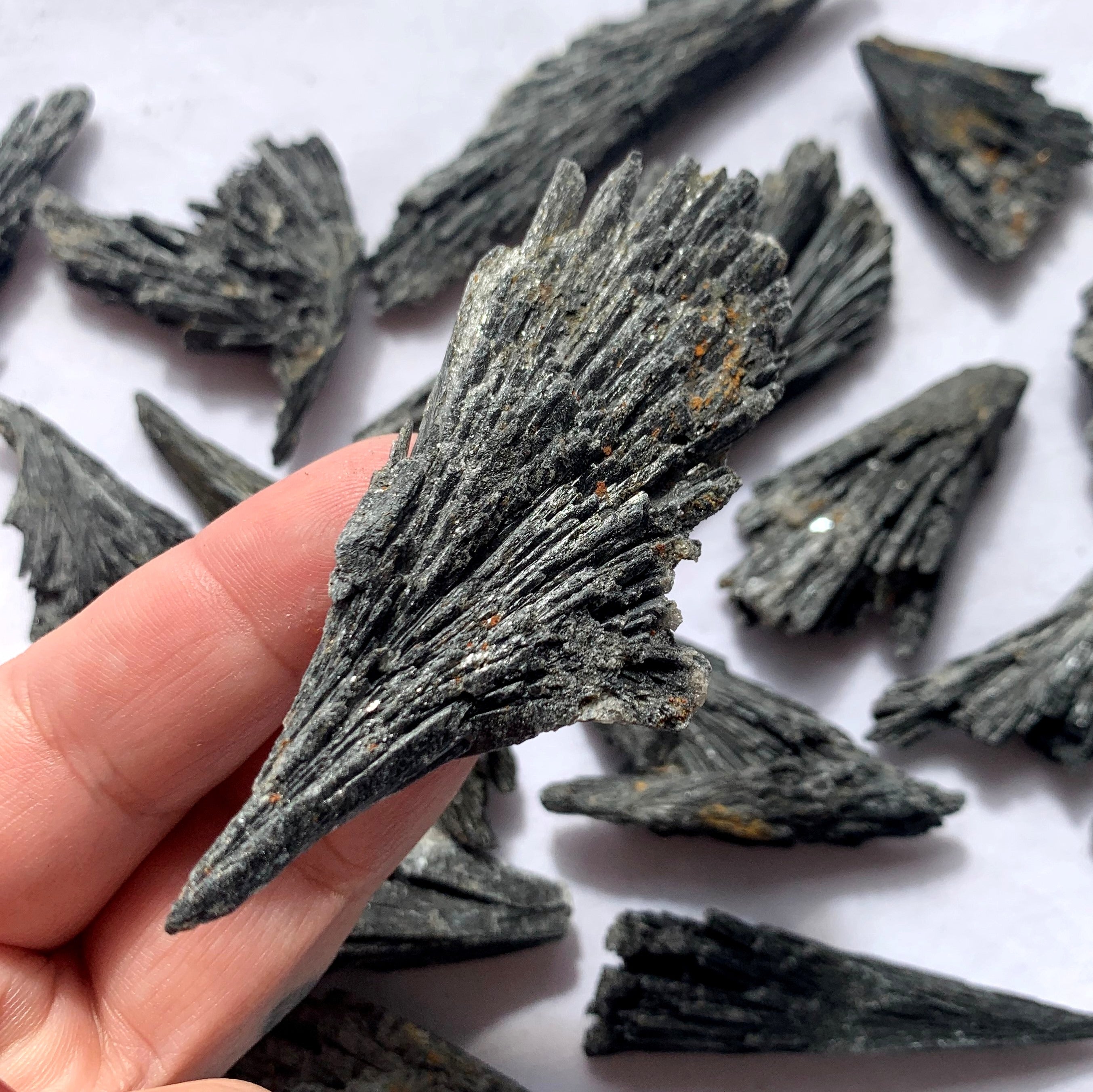 Black Kyanite Fan | Small