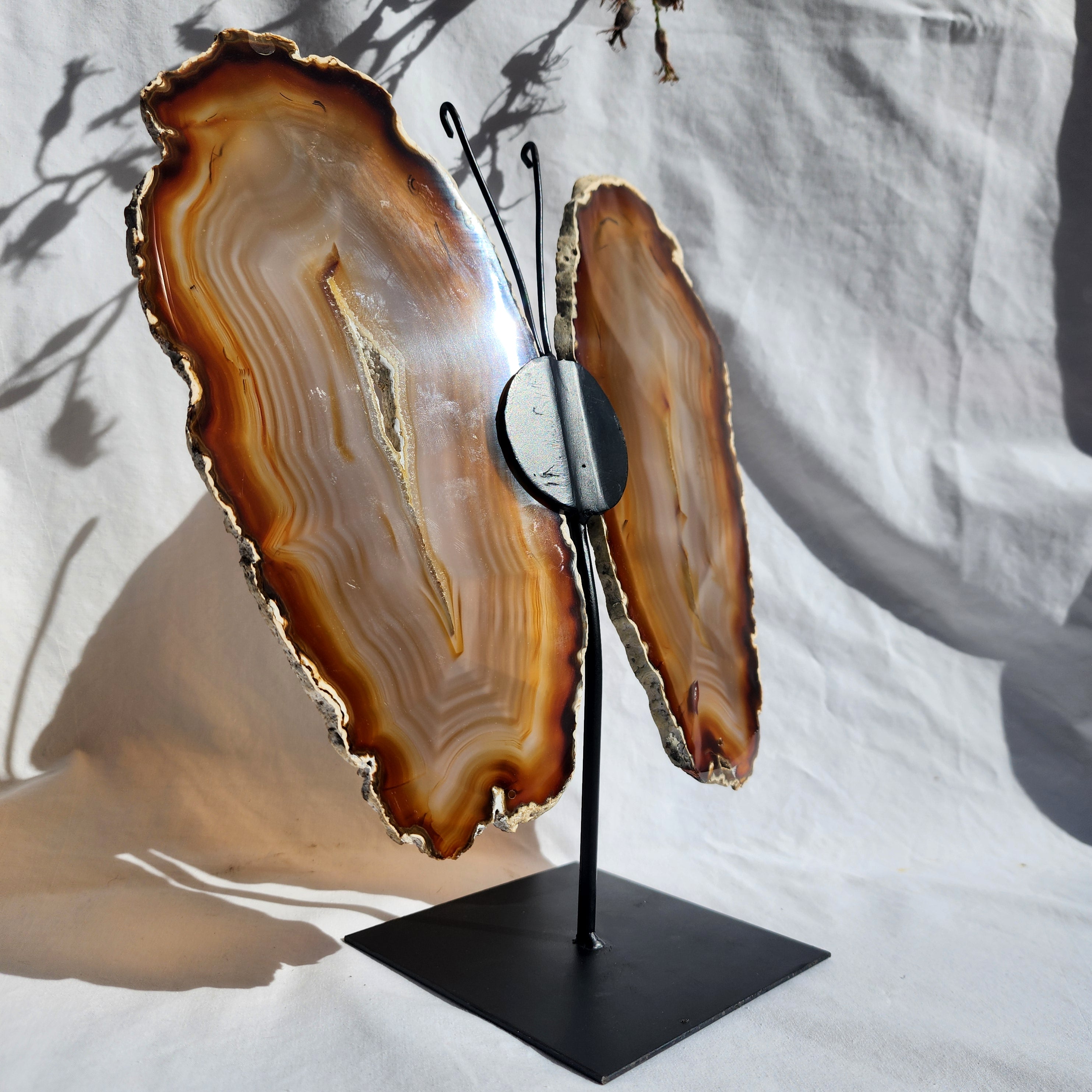 Natural Agate Butterfly Wings