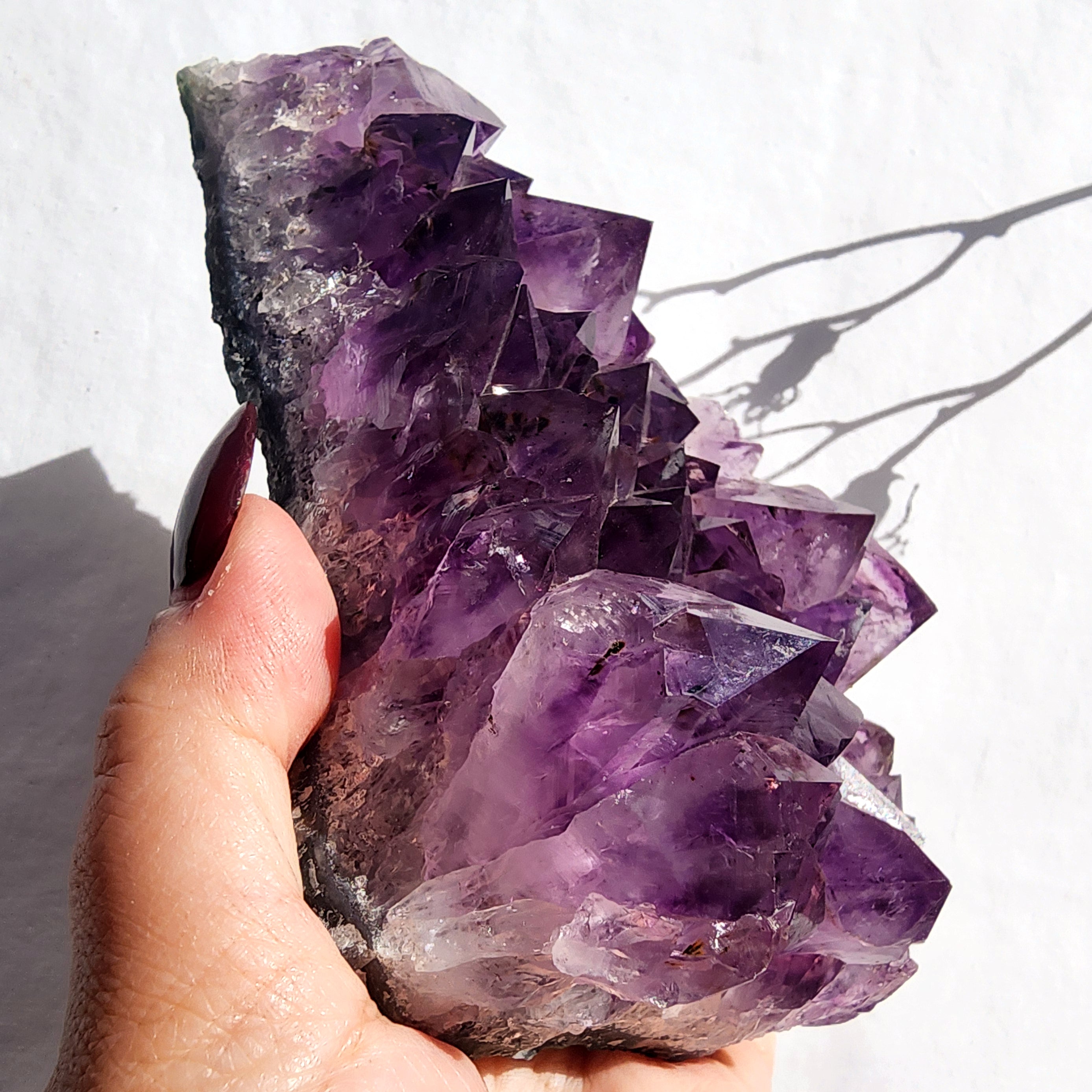 Amethyst Cluster