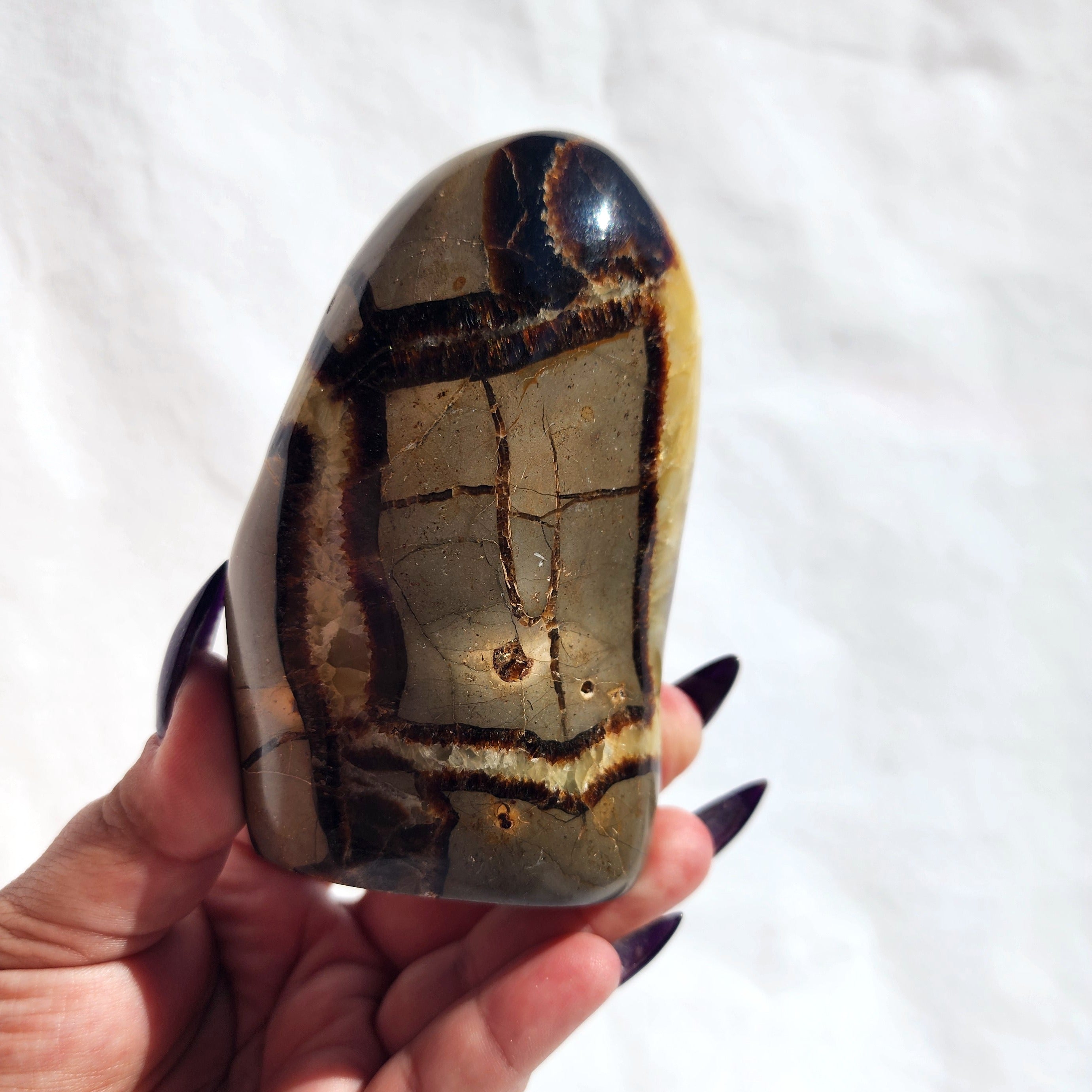 Septarian Freeform