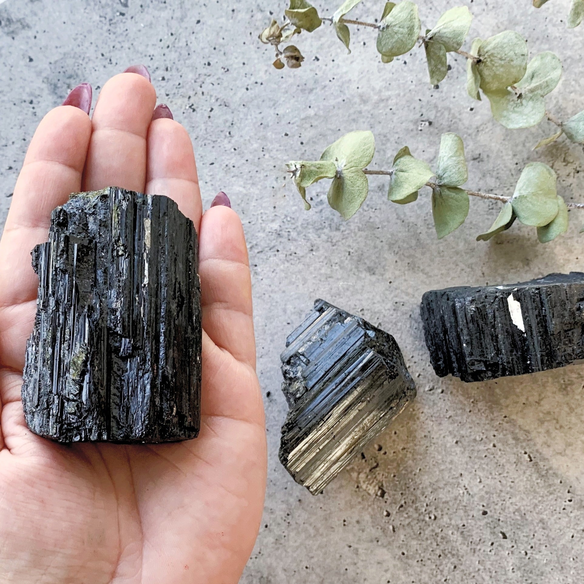 Black Tourmaline Raw | X-Large