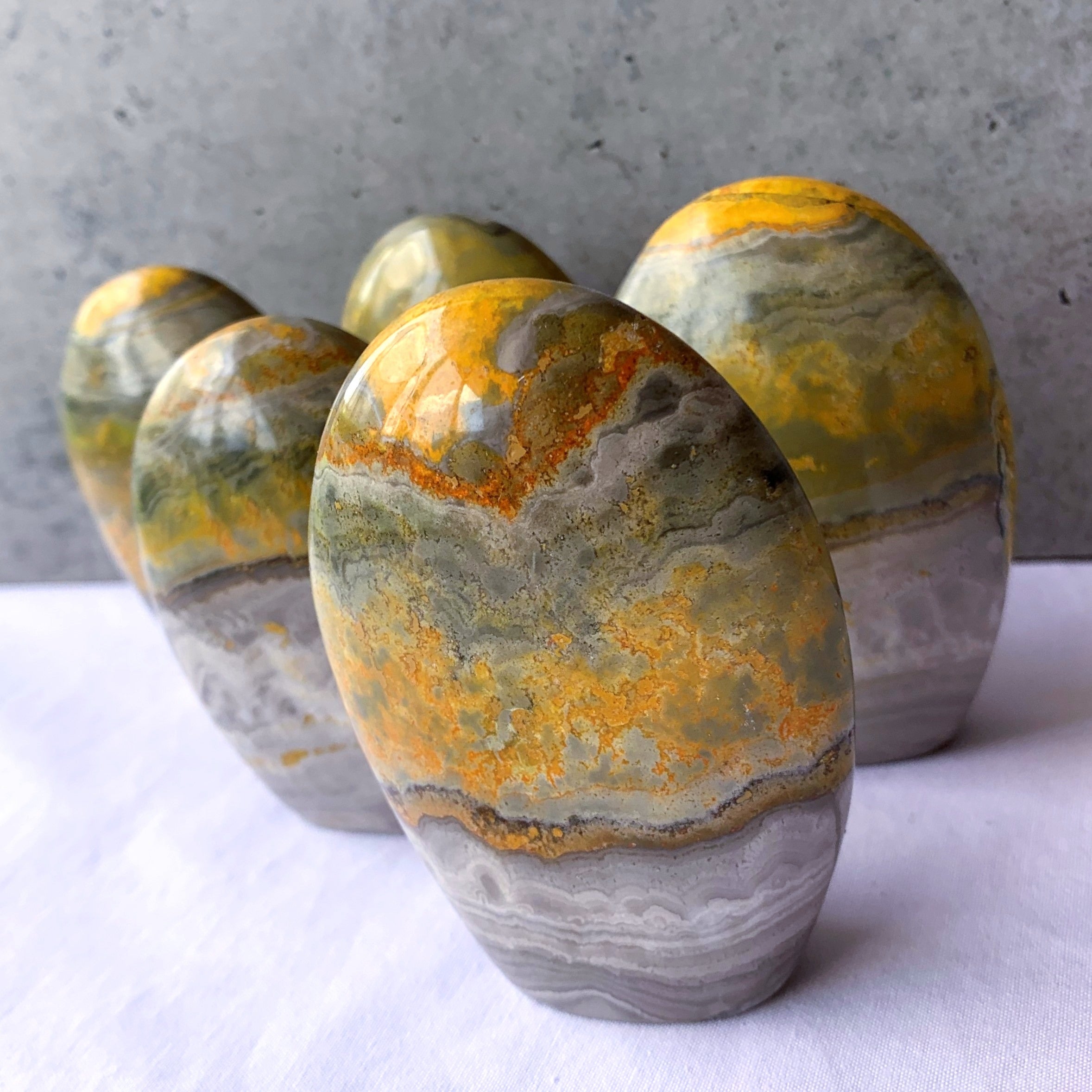 Bumblebee Jasper Freeform