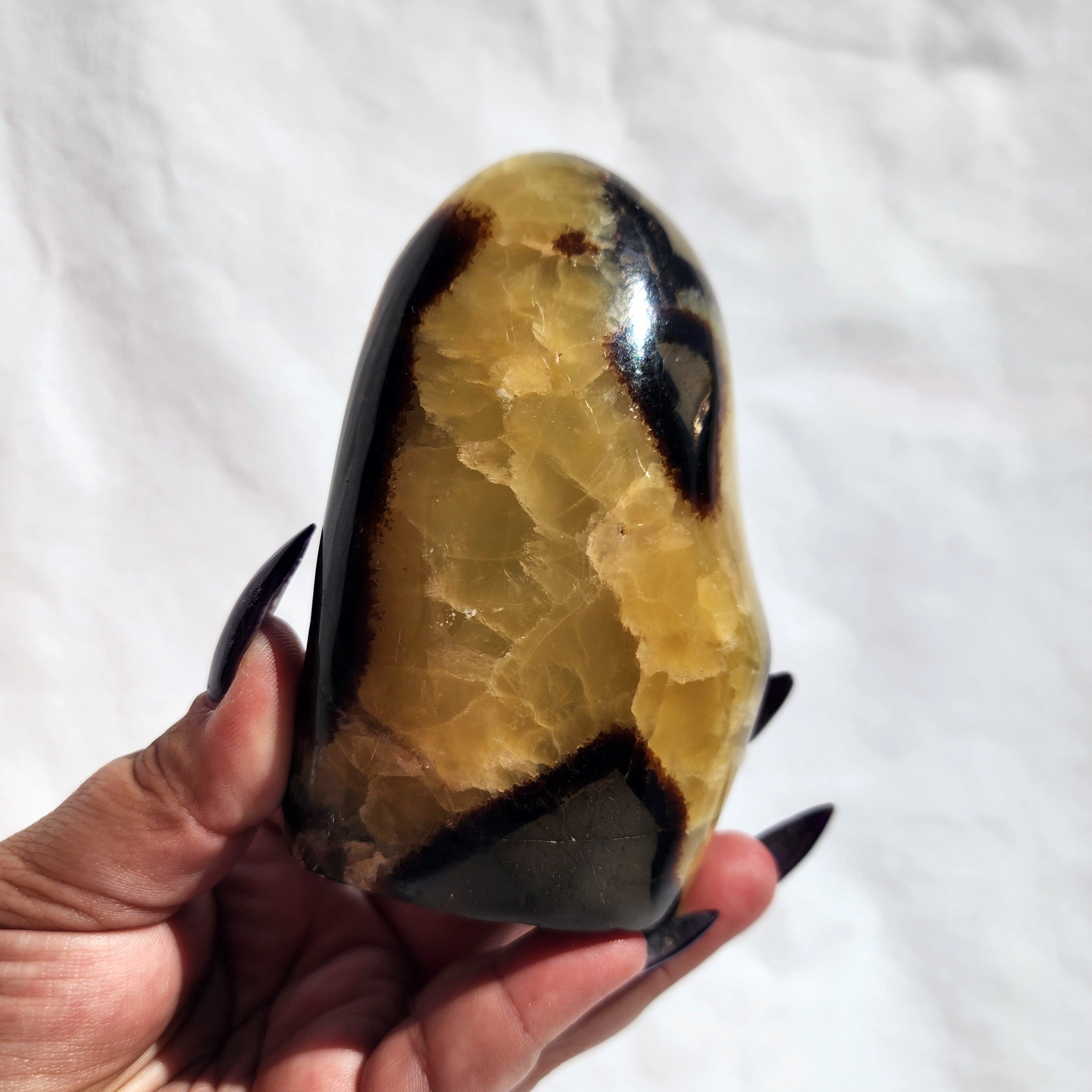 Septarian Freeform